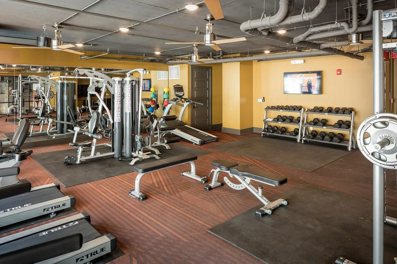 Modern fitness center with state-of-the-art equipment, free weights, and spacious workout areas.