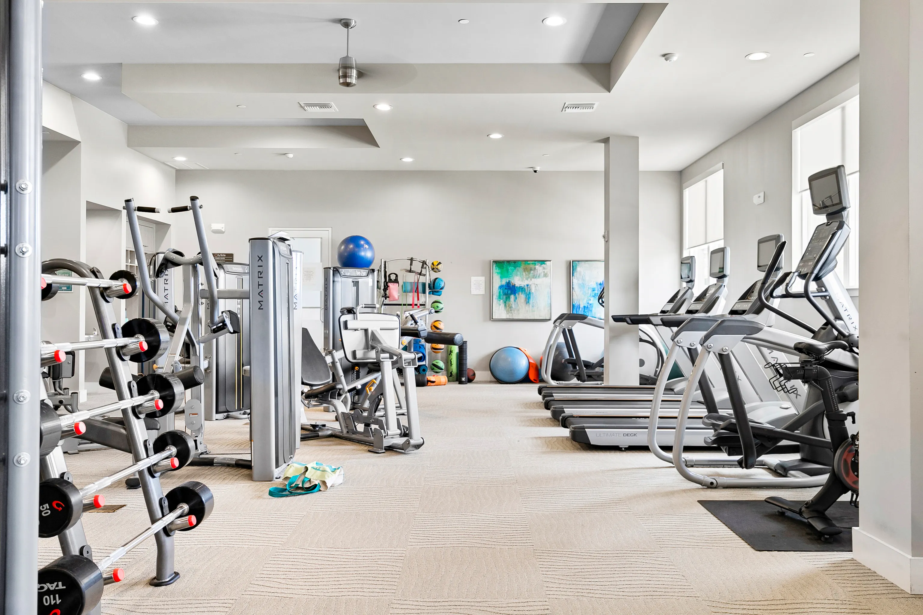 Modern fitness center featuring state-of-the-art equipment, treadmills, weight machines, and bright natural lighting.