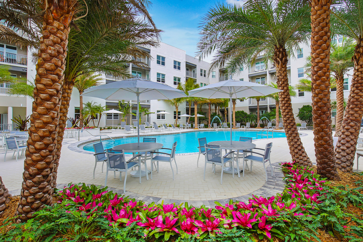 Pool Side view | City Side Apartments | Sarasota, FL