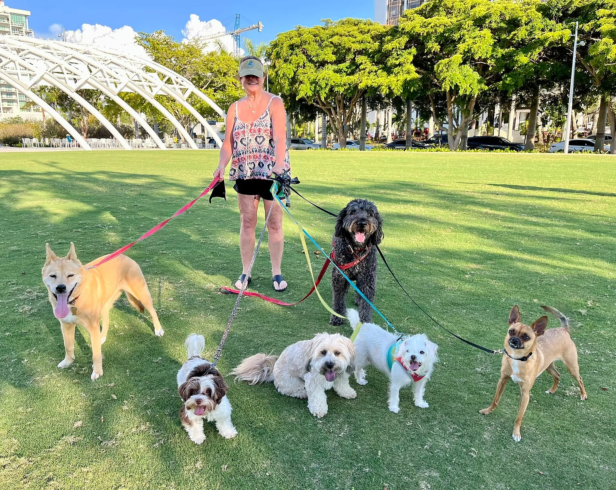 Joyful scene of a woman confidently walking six cheerful dogs in a vibrant, sunlit park with lush green grass and a striking architectural backdrop.