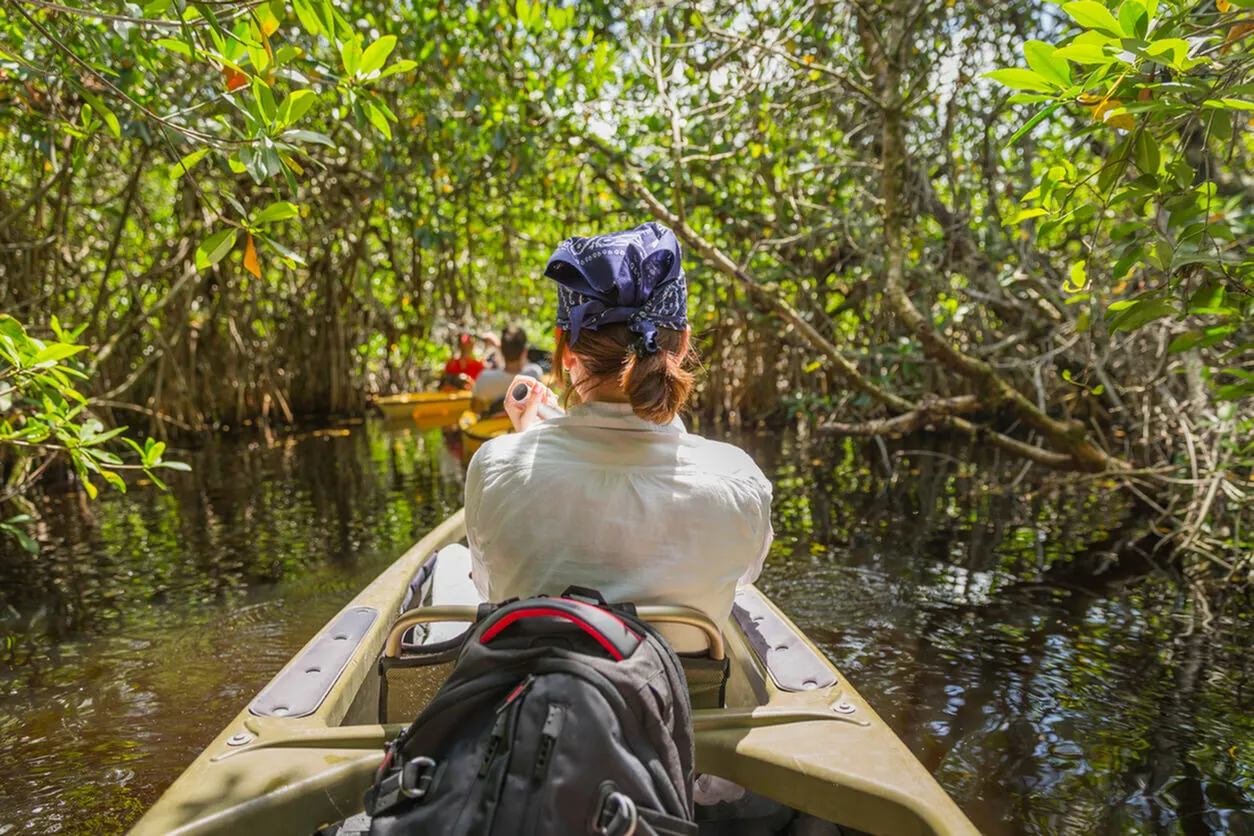 Adventurous kayaking experience through lush mangrove canals, offering a tranquil journey into nature\'s beauty.