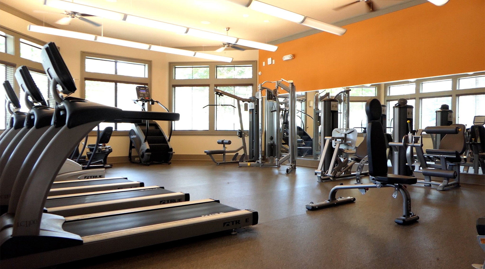 Modern apartment gym with state-of-the-art fitness equipment, bright space, and large windows for natural light.