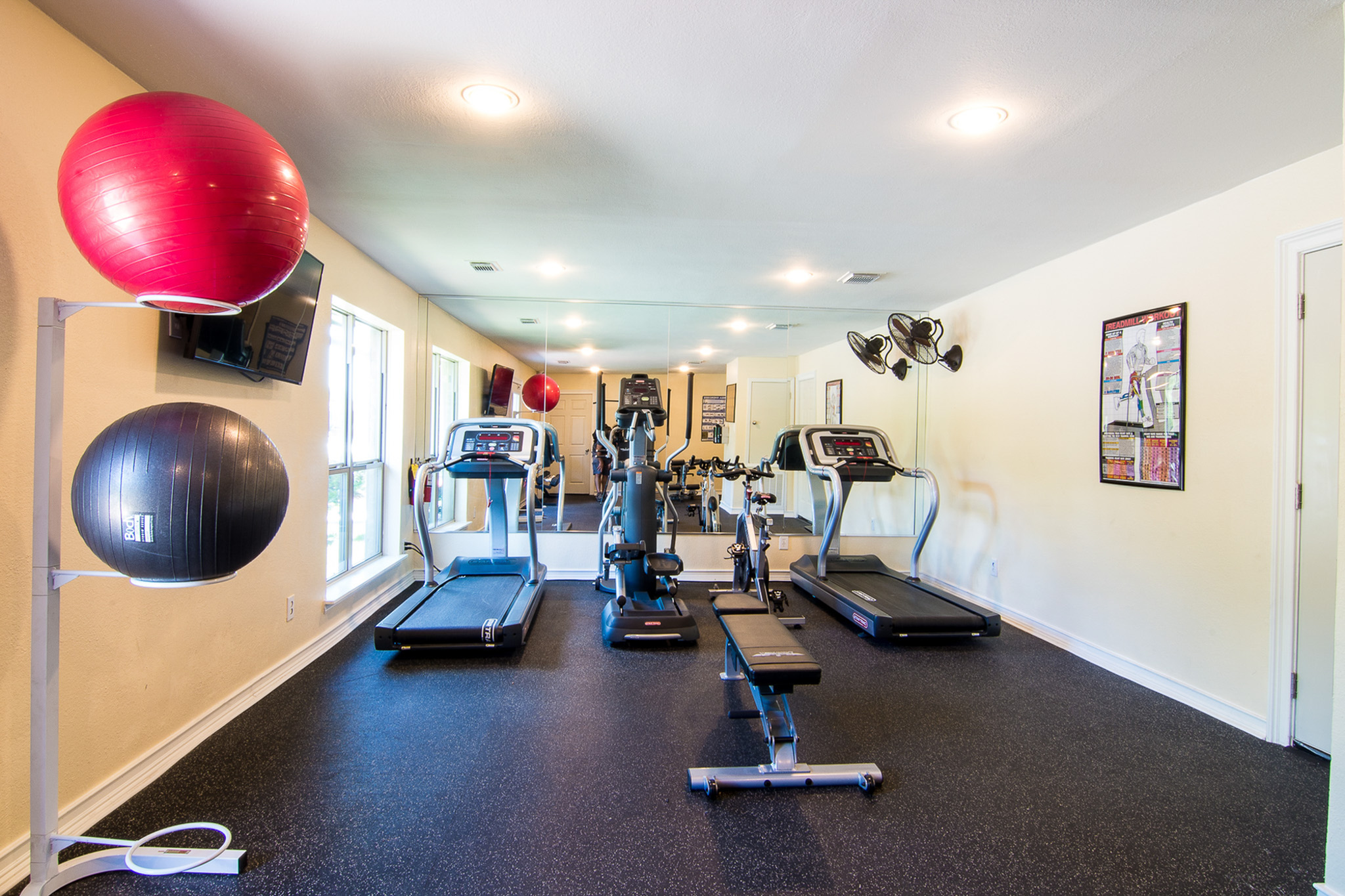 Bright and modern fitness center with state-of-the-art treadmills, exercise bike, and vibrant yoga balls.