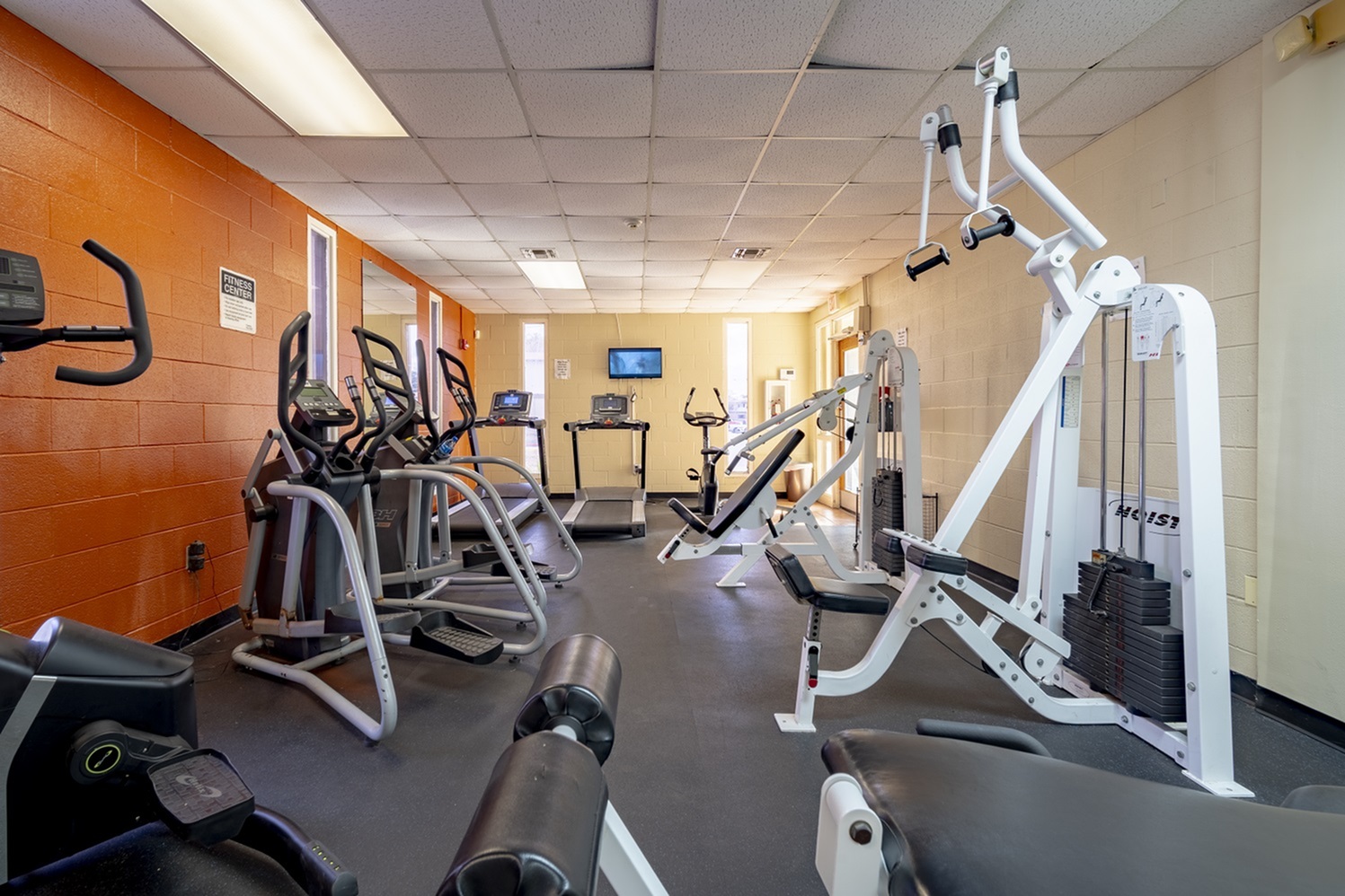 Modern fitness center equipped with cardio machines, weight stations, and vibrant orange walls, offering a dynamic workout environment.