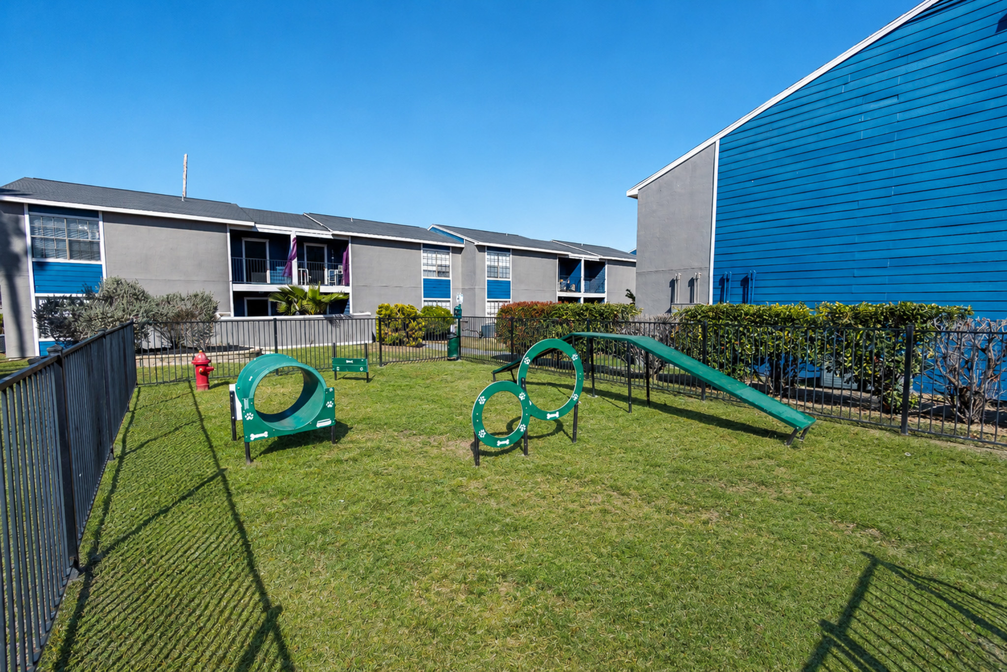 Pet-friendly apartment complex with vibrant blue accents, featuring a secure dog park equipped with agility equipment and open grassy spaces.