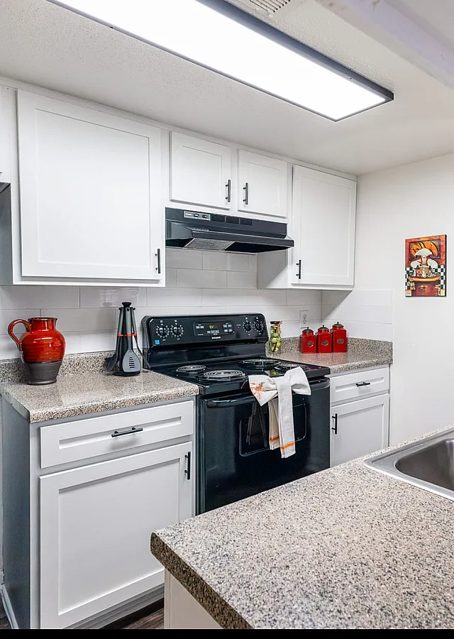 Modern kitchen with sleek countertops, double sink, stylish black appliances, and bright white cabinets, accented by vibrant decor.
