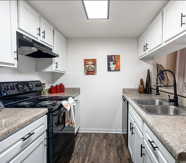 Contemporary kitchen featuring sleek granite countertops, white cabinetry, and modern appliances with stylish decor accents.