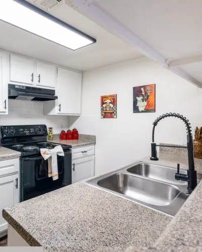 Modern kitchen with sleek countertops, stylish black appliances, and vibrant wall art enhancing a chic atmosphere.