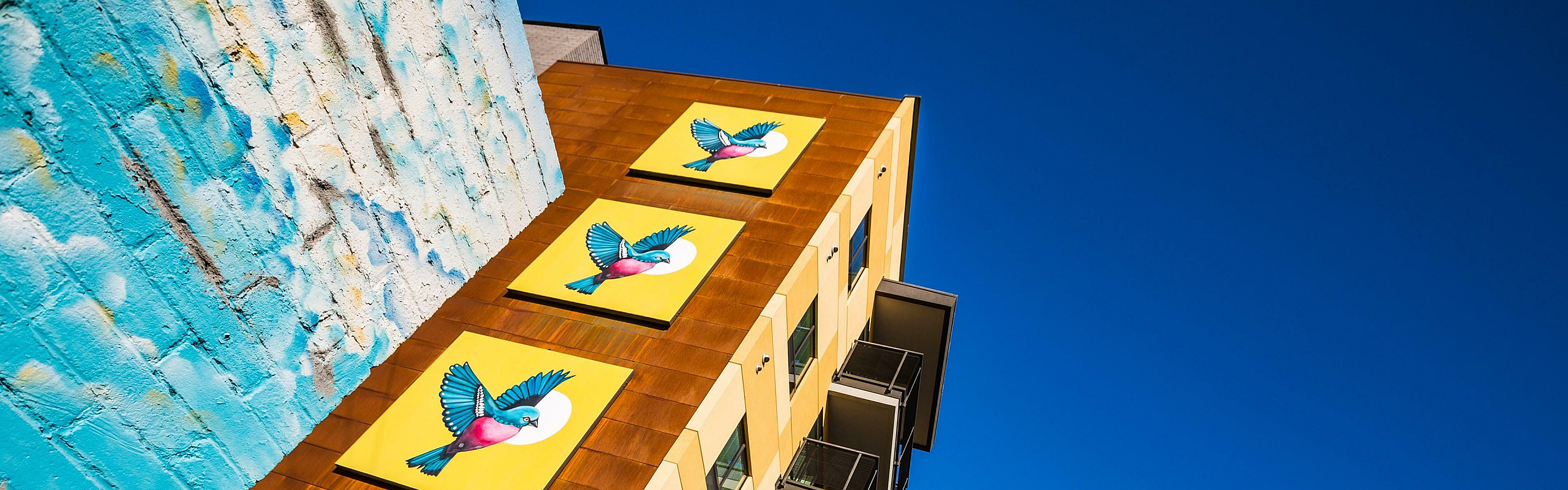 Vibrant modern apartment building with colorful bird artwork, sleek balconies, and eye-catching architecture.