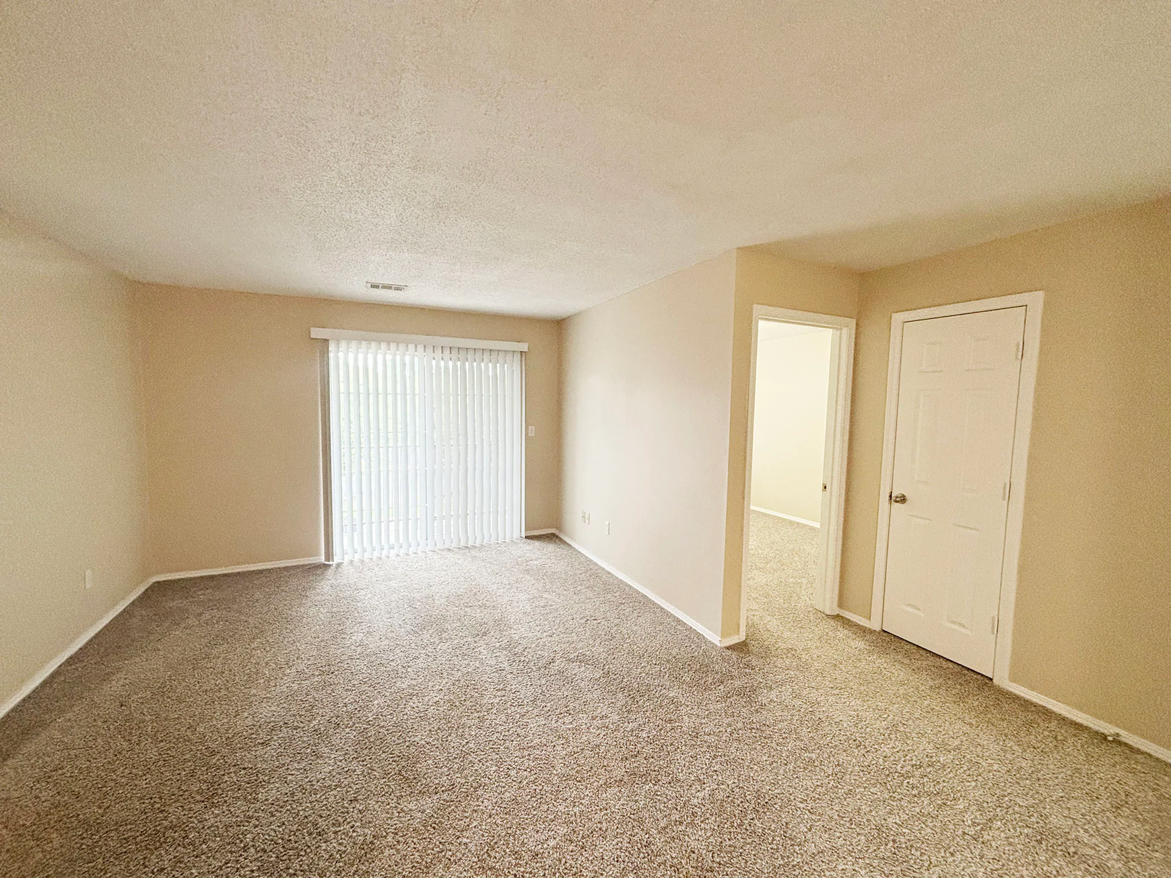 Bright, spacious living room with plush carpeting and large sliding glass doors, offering abundant natural light.