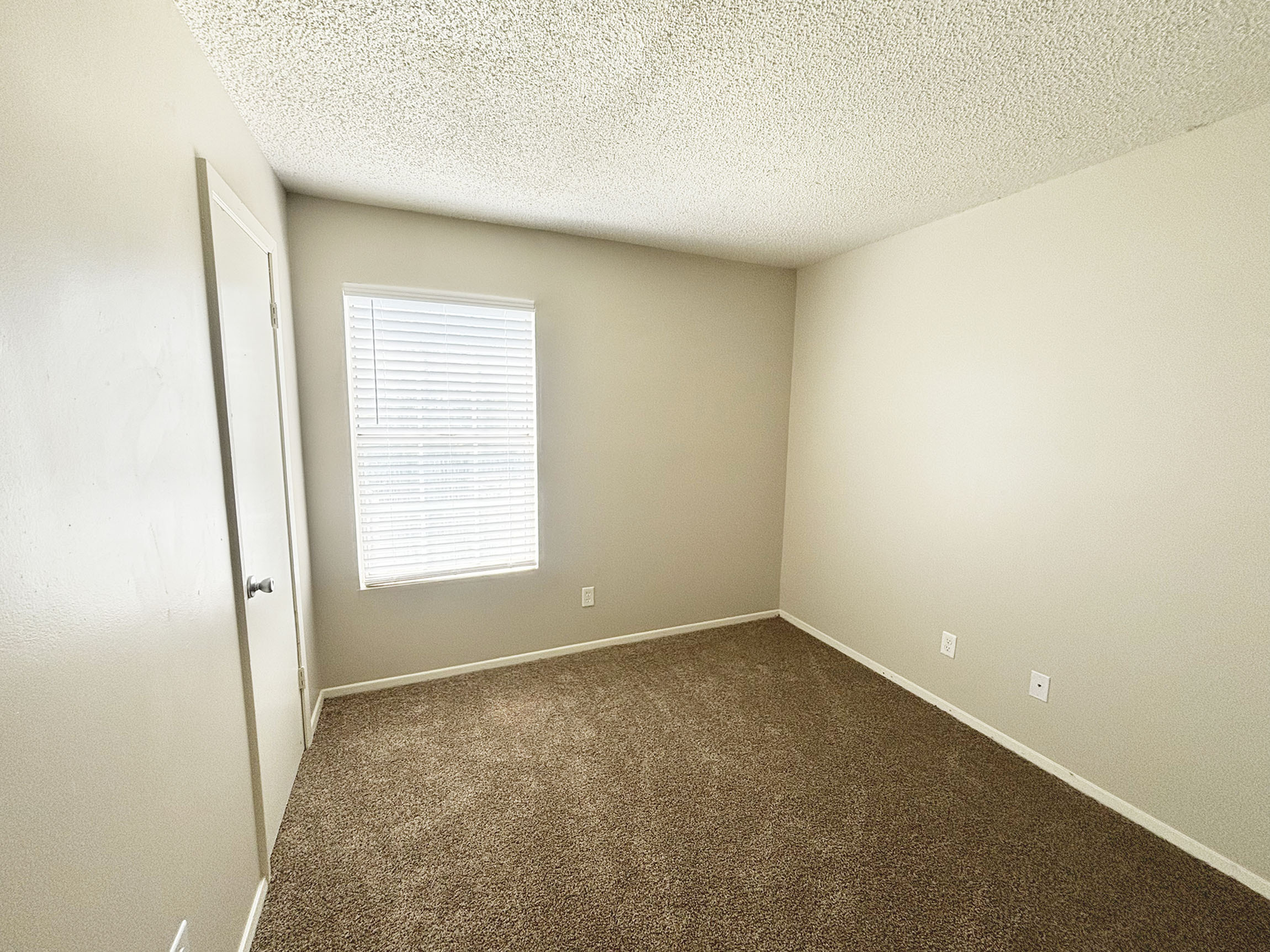 Bright and airy bedroom with plush carpet and a large window allowing natural light.
