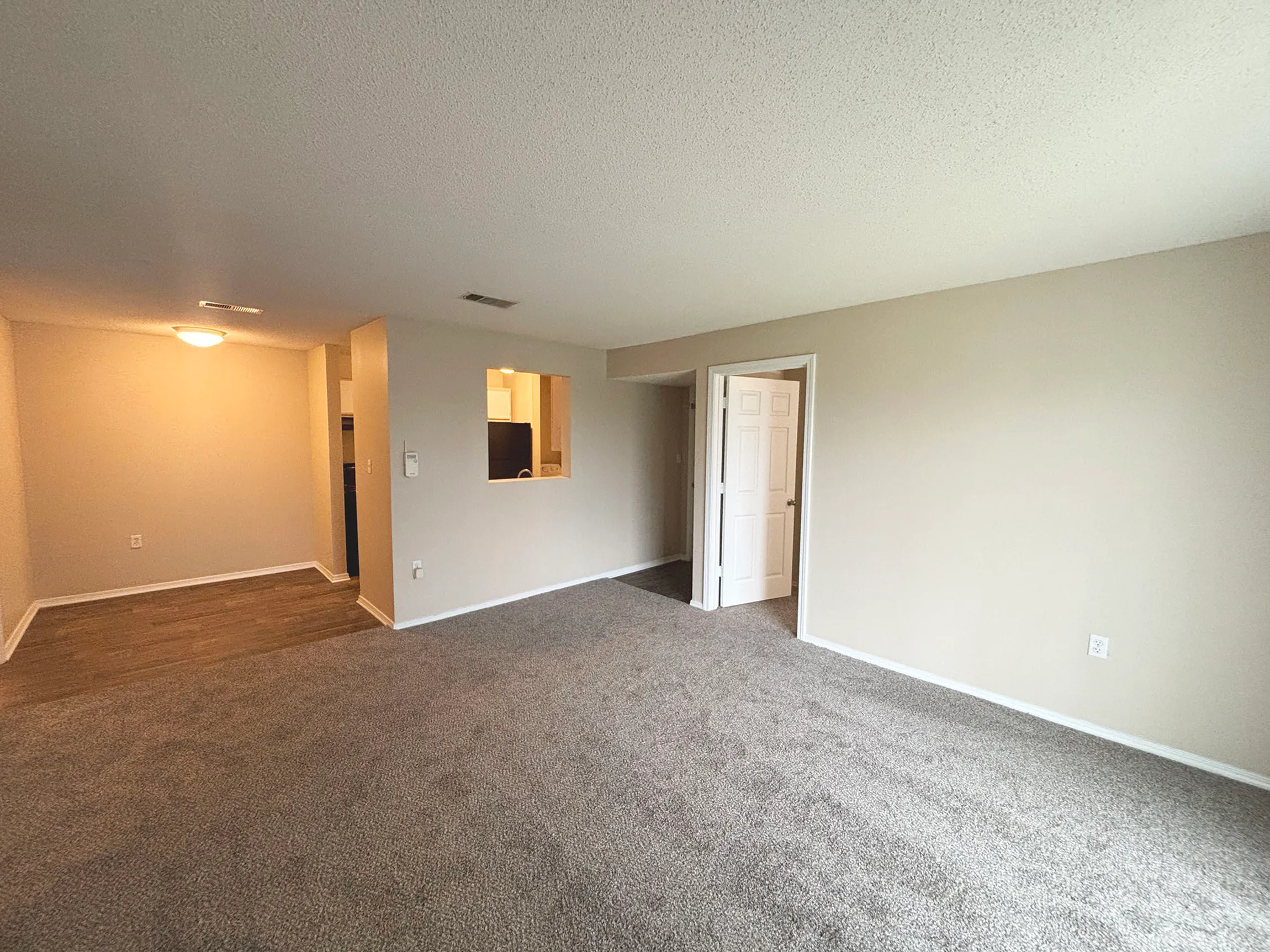 Bright and spacious living room with plush carpeting and open layout, leading to a cozy kitchen area.