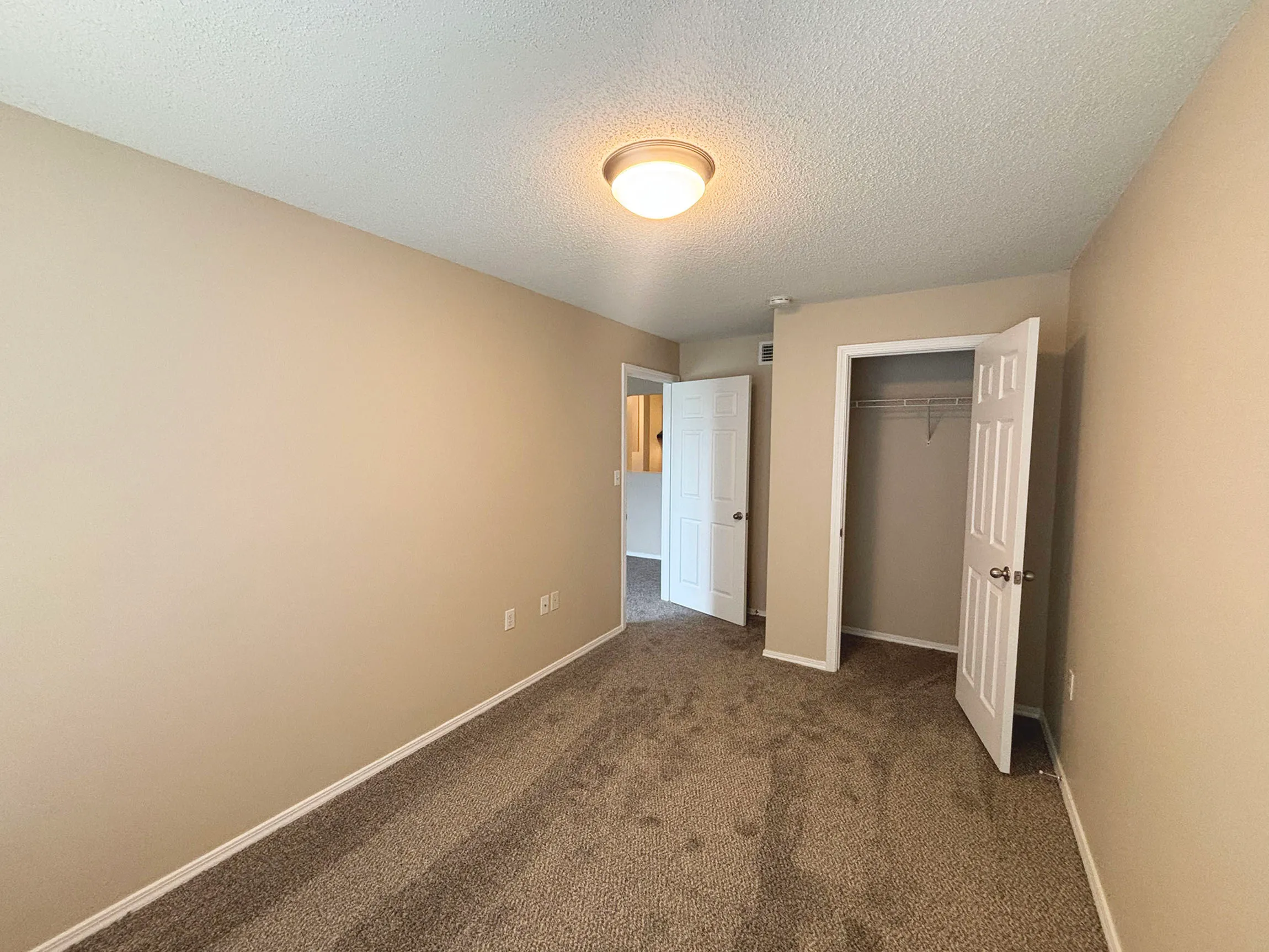 Bright and cozy bedroom featuring soft carpeting, neutral wall tones, and a spacious walk-in closet.