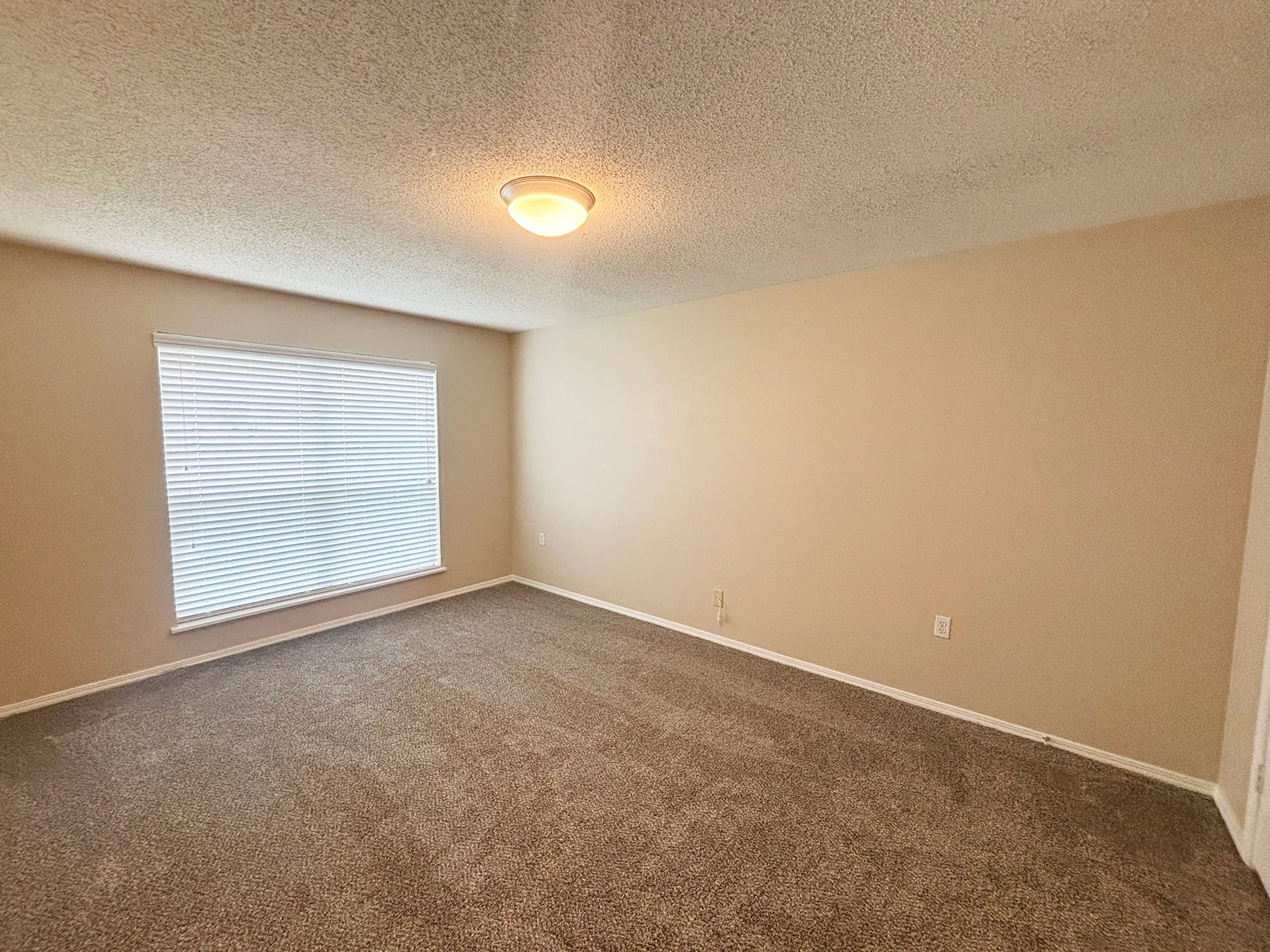 Bright and spacious room with plush carpeting, neutral walls, and a large window with blinds.