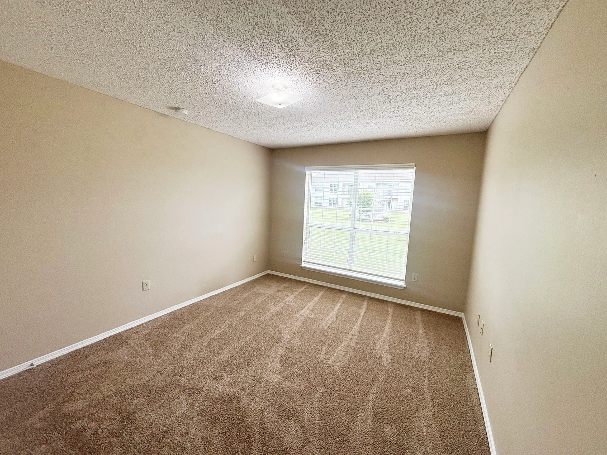 Bright and spacious bedroom with large window, fresh carpeting, and neutral walls, perfect for creating a personalized sanctuary.