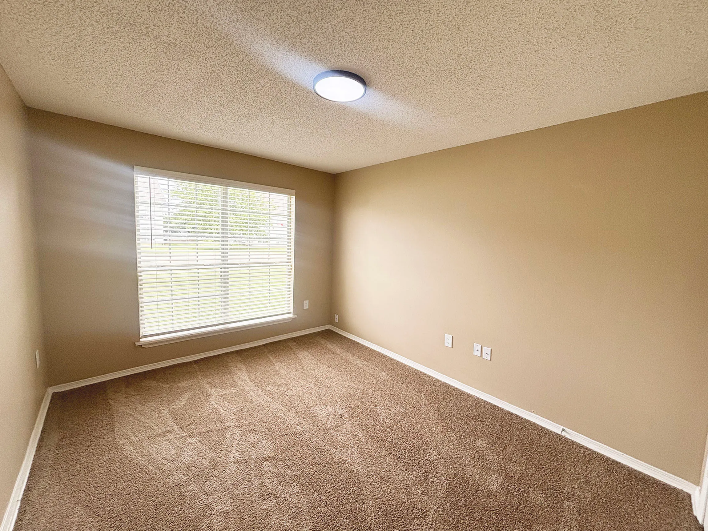 Bright and spacious bedroom with plush carpeting, large window, and neutral walls offering a cozy ambiance.