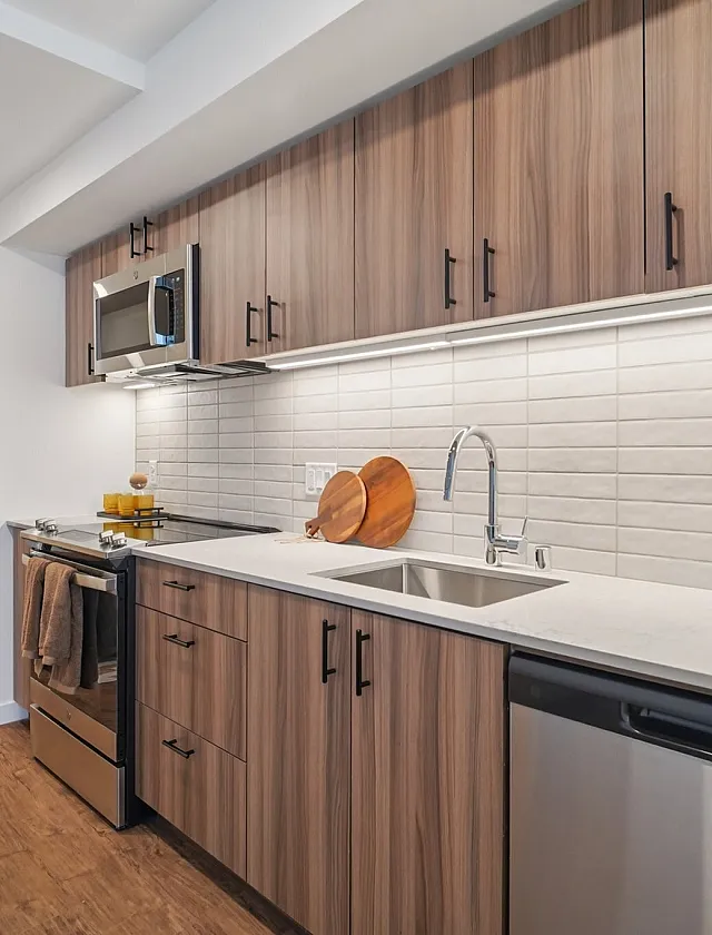 Modern kitchen with sleek wood cabinetry, stainless steel appliances, and elegant tile backsplash.