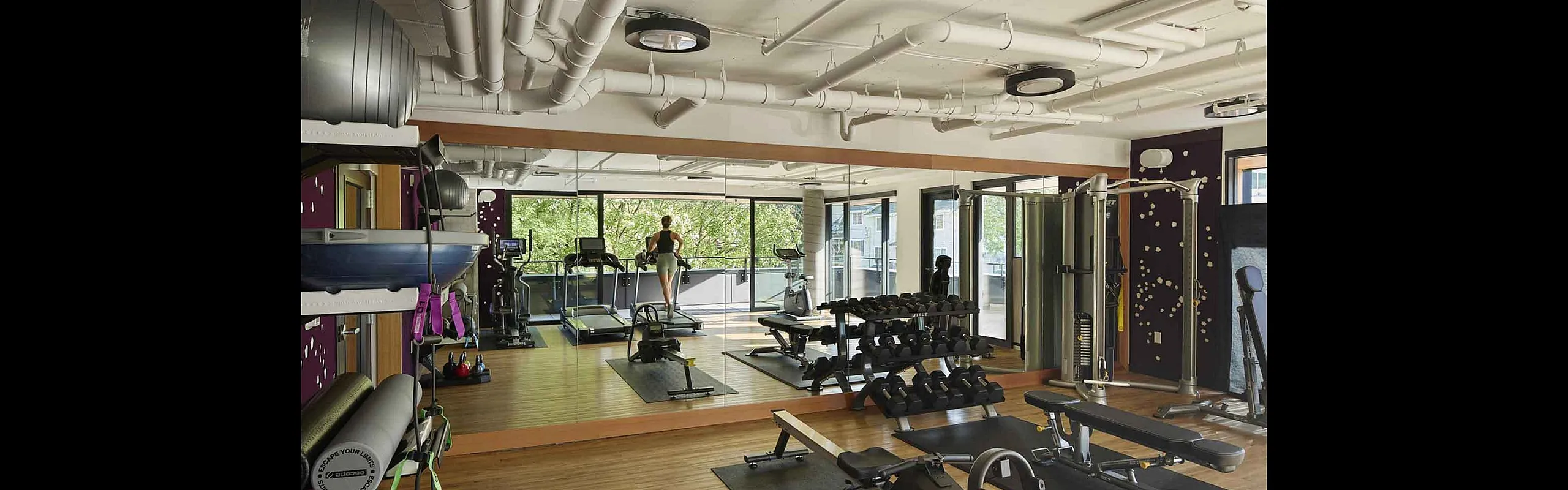 Spacious apartment gym featuring modern workout equipment, mirrored walls, and large windows for natural light.