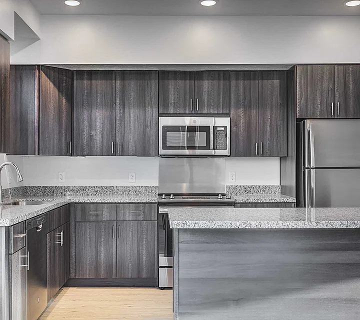 Sleek modern kitchen with dark wood cabinetry, stainless steel appliances, and granite countertops, ideal for culinary enthusiasts.