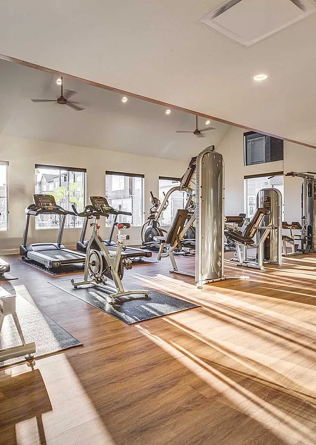 Sunlit modern gym with state-of-the-art cardio and strength training equipment on stylish wood flooring.