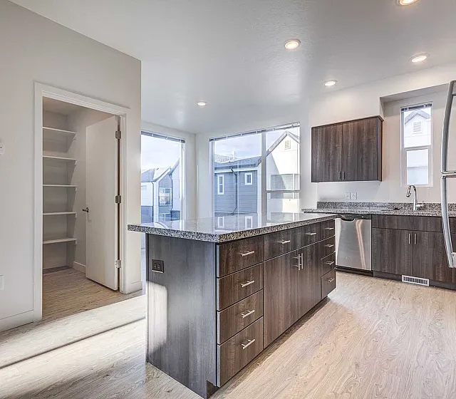 Bright modern kitchen with sleek dark wood cabinets, granite countertops, and large windows offering natural light.