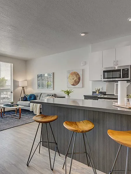 Modern and inviting open-plan kitchen and living area with stylish decor, sleek countertops, and bright natural light.