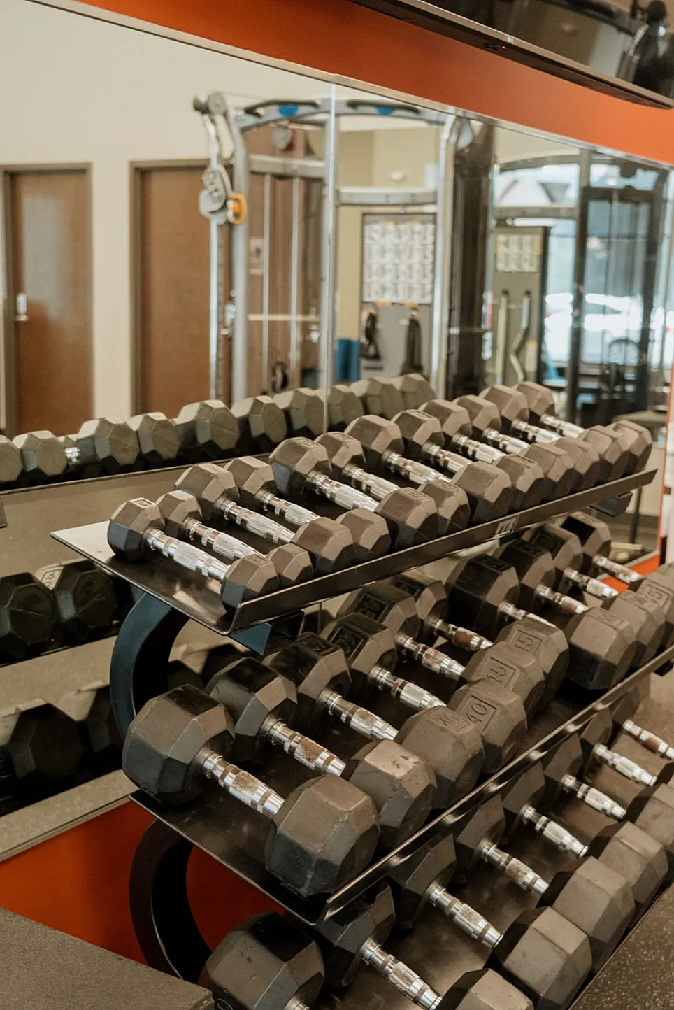 Modern fitness center with neatly arranged dumbbells and sleek workout equipment, creating an inviting space for strength training.