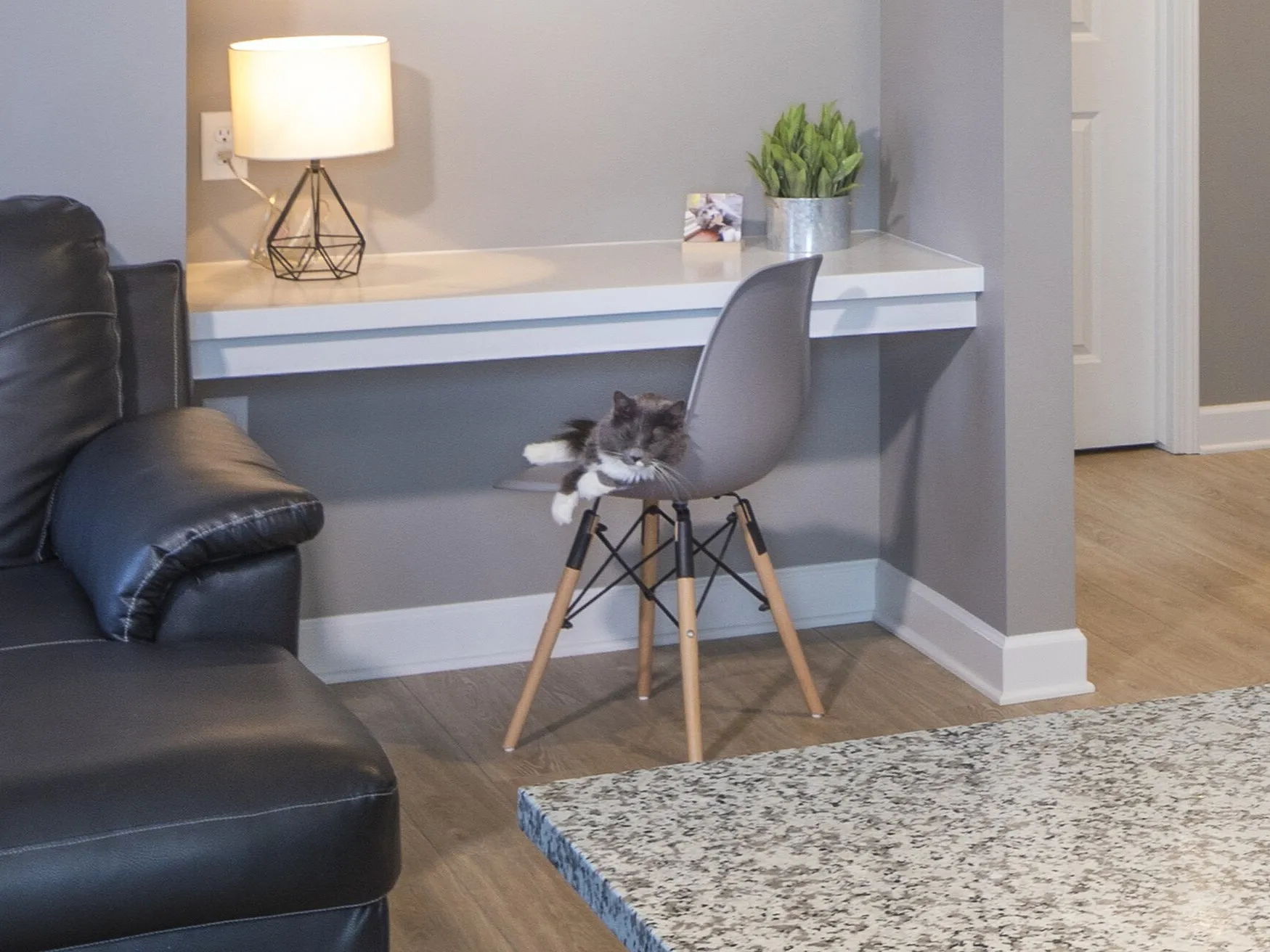 Chic apartment corner with a cozy desk setup, a stylish chair, and a relaxed cat, highlighting elegant modern living.