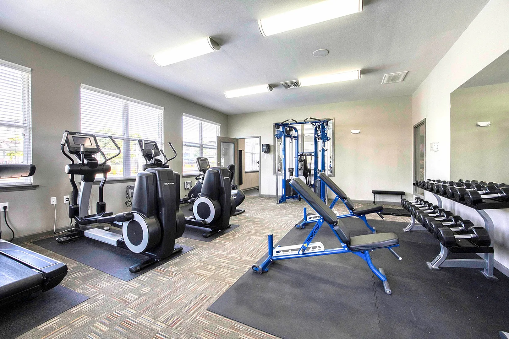 Bright and modern fitness center with state-of-the-art exercise equipment, including treadmills, elliptical machines, weight benches, and a full set of dumbbells.