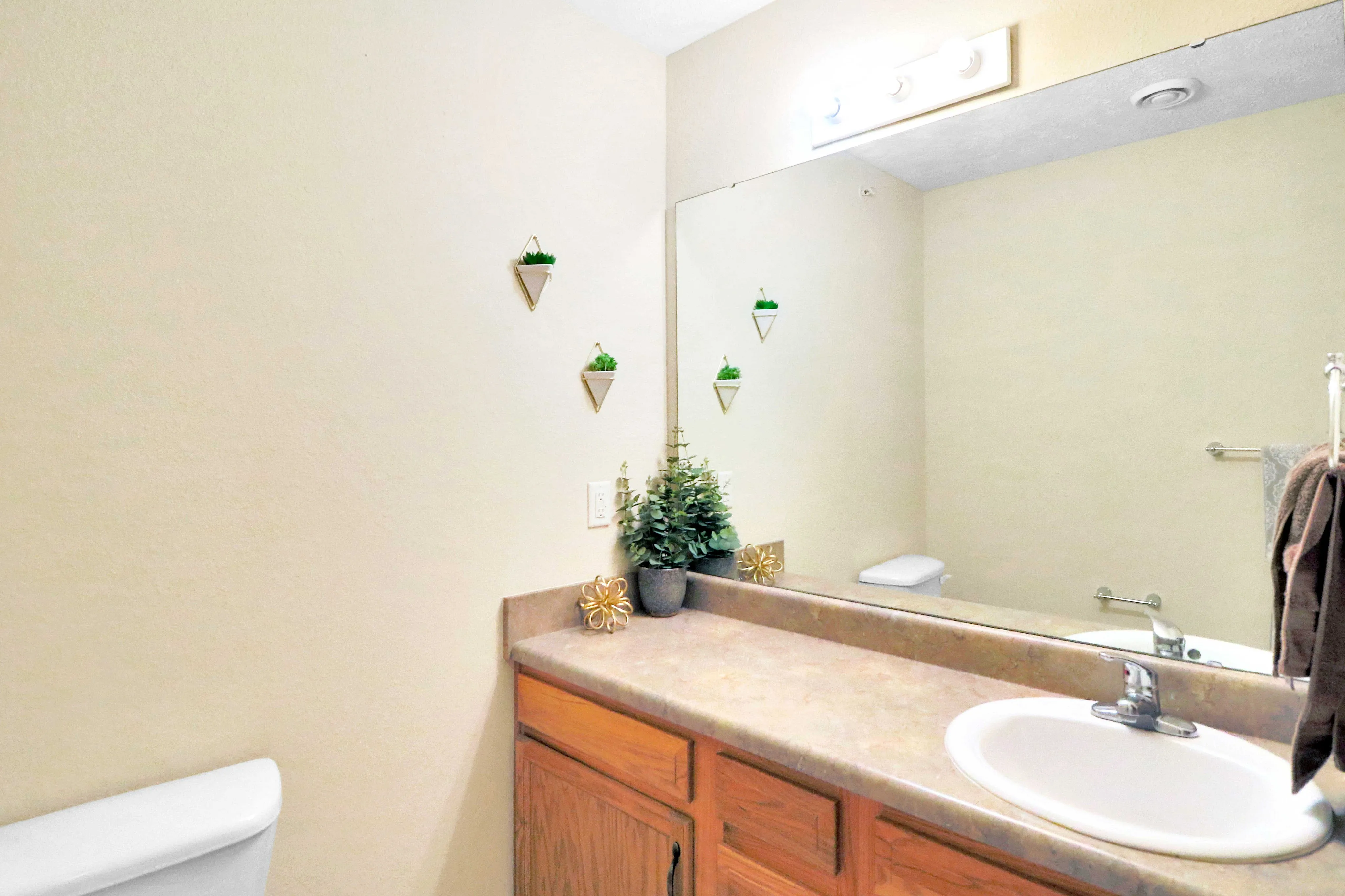 Bright bathroom with modern fixtures, wooden cabinetry, and elegant decor elements including small wall planters and stylish countertop accents.