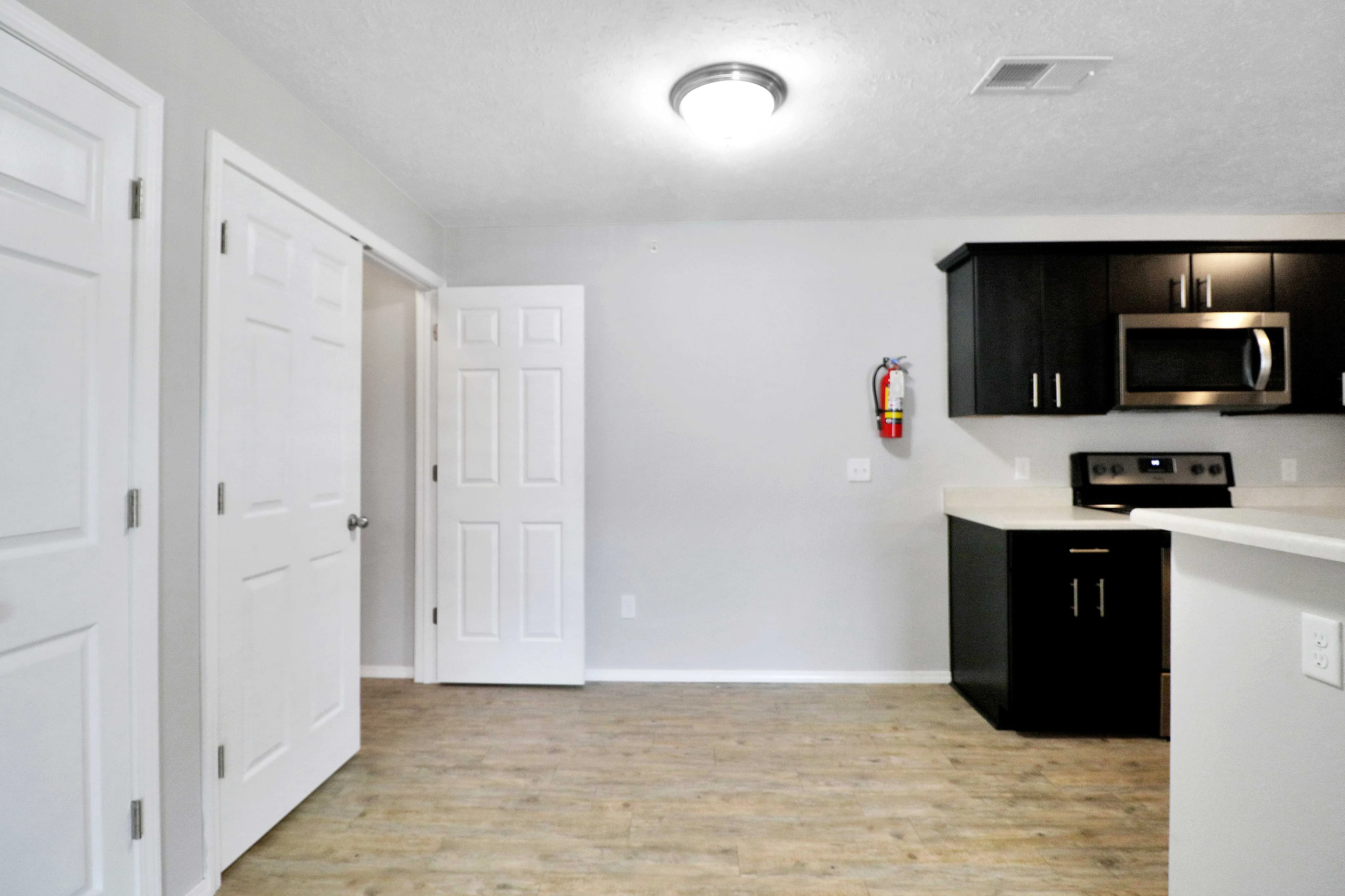 Modern apartment interior featuring sleek dark cabinetry, stainless steel appliances, and elegant wood flooring.