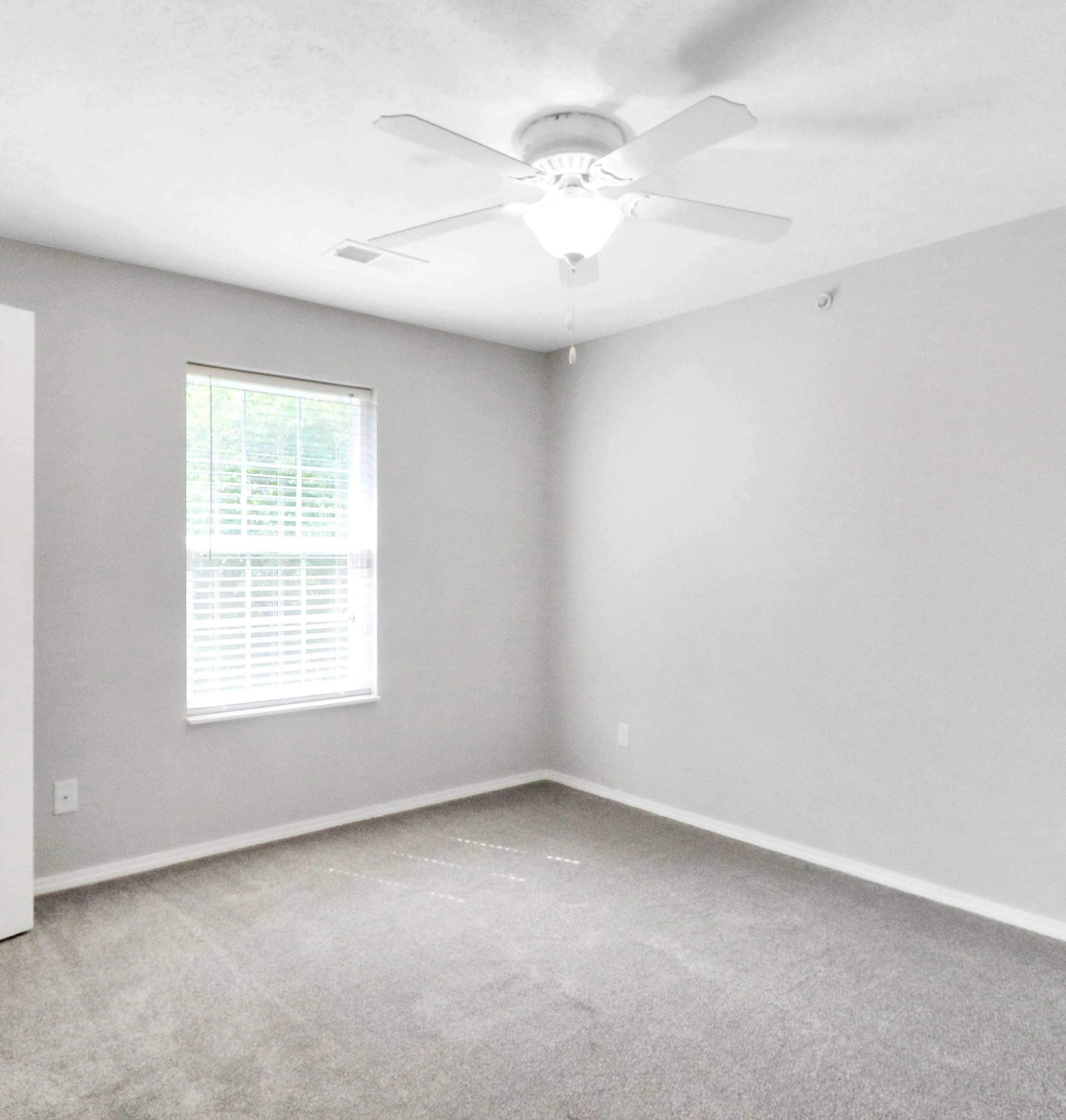 Bright and inviting bedroom with soft carpet flooring, a large sunlit window, and a modern ceiling fan.