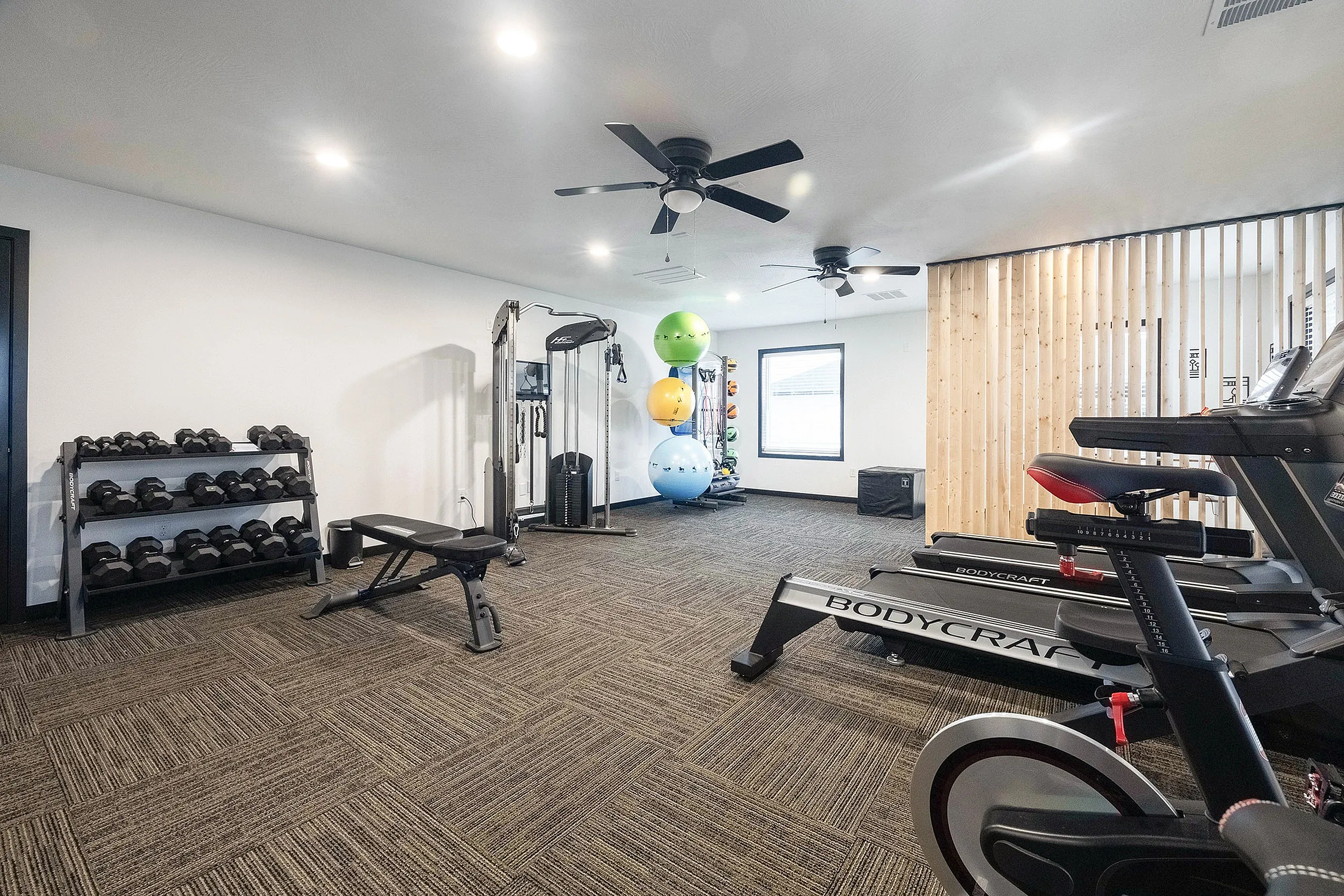 Modern fitness room equipped with treadmills, weight bench, and vibrant stability balls, offering a well-lit and inviting workout environment.