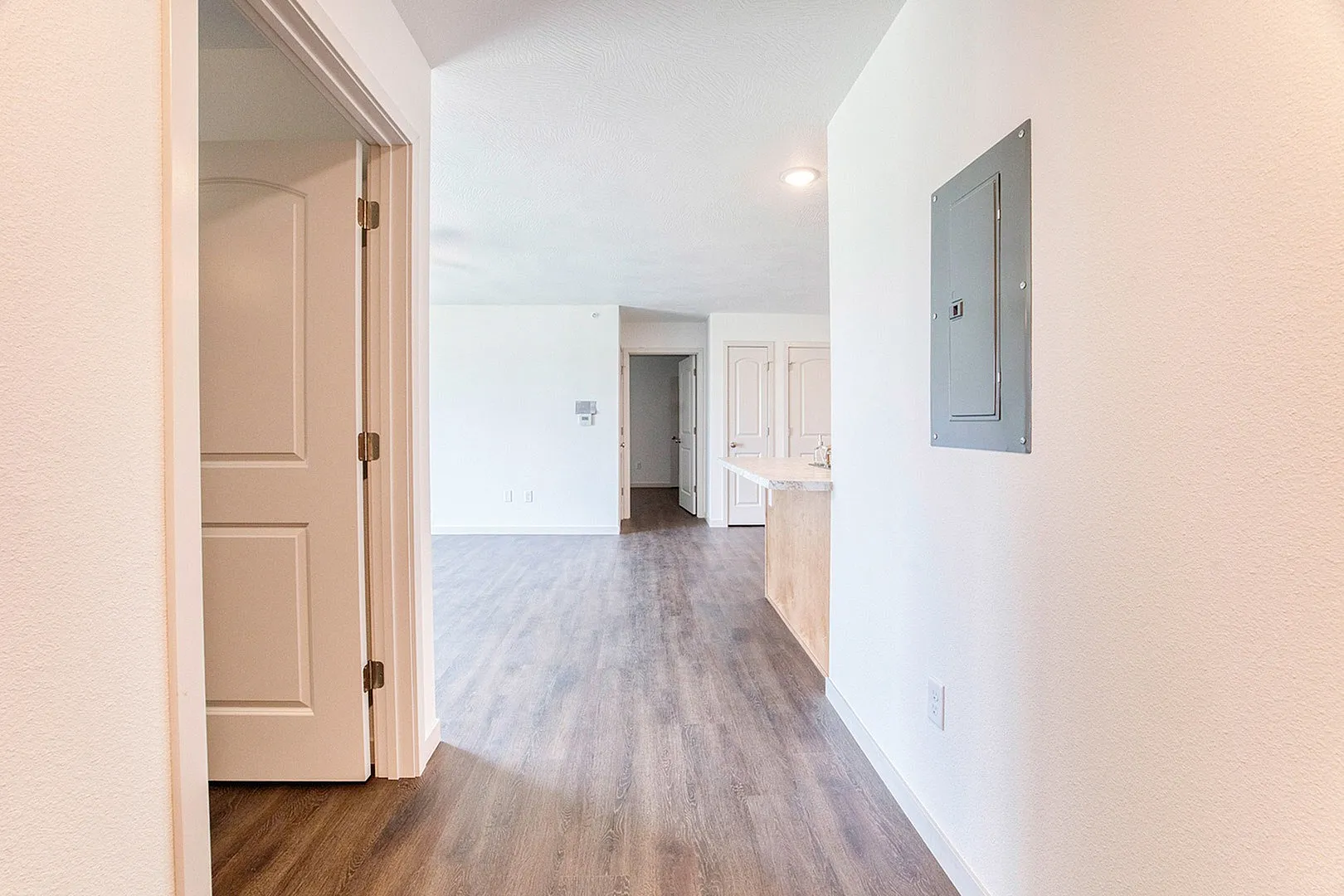 Bright and airy apartment with sleek hardwood flooring, open hallway leading to spacious rooms, and modern white doors.