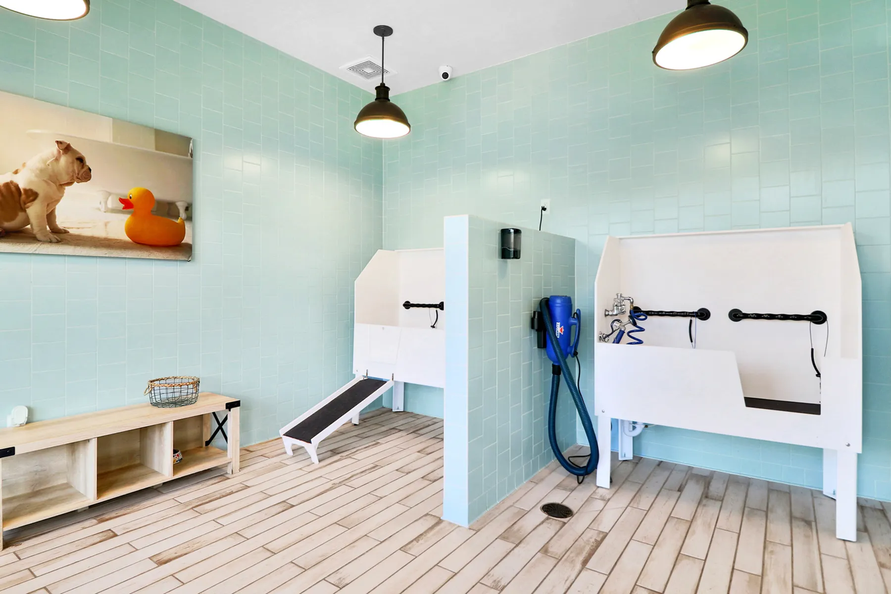 Modern pet washing station with sleek turquoise tiles and dual bathing areas in a well-lit, spacious room.