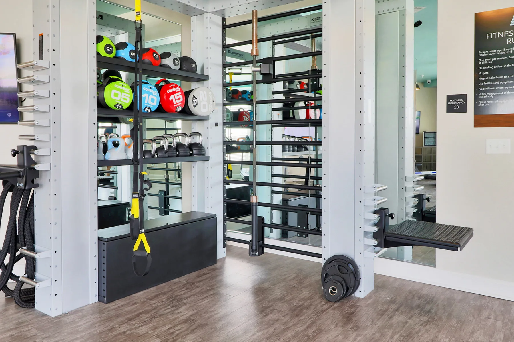 Contemporary fitness room with TRX system, kettlebells, and vibrant medicine balls for a dynamic workout experience.