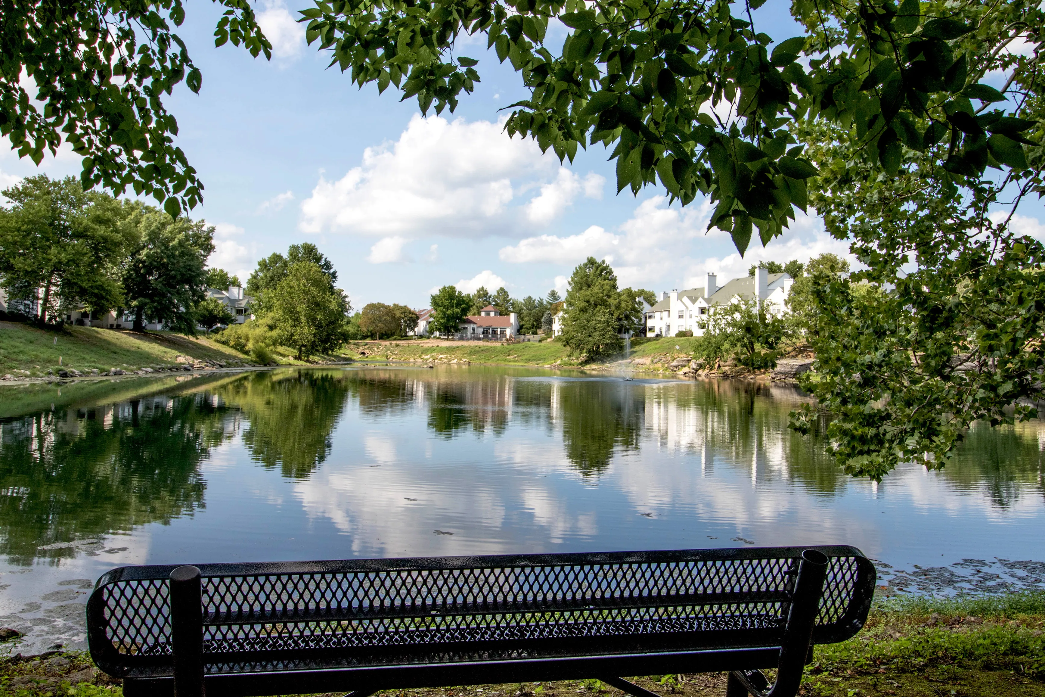 Scenic view of a tranquil lake surrounded by lush greenery and elegant homes, perfect for serene living.