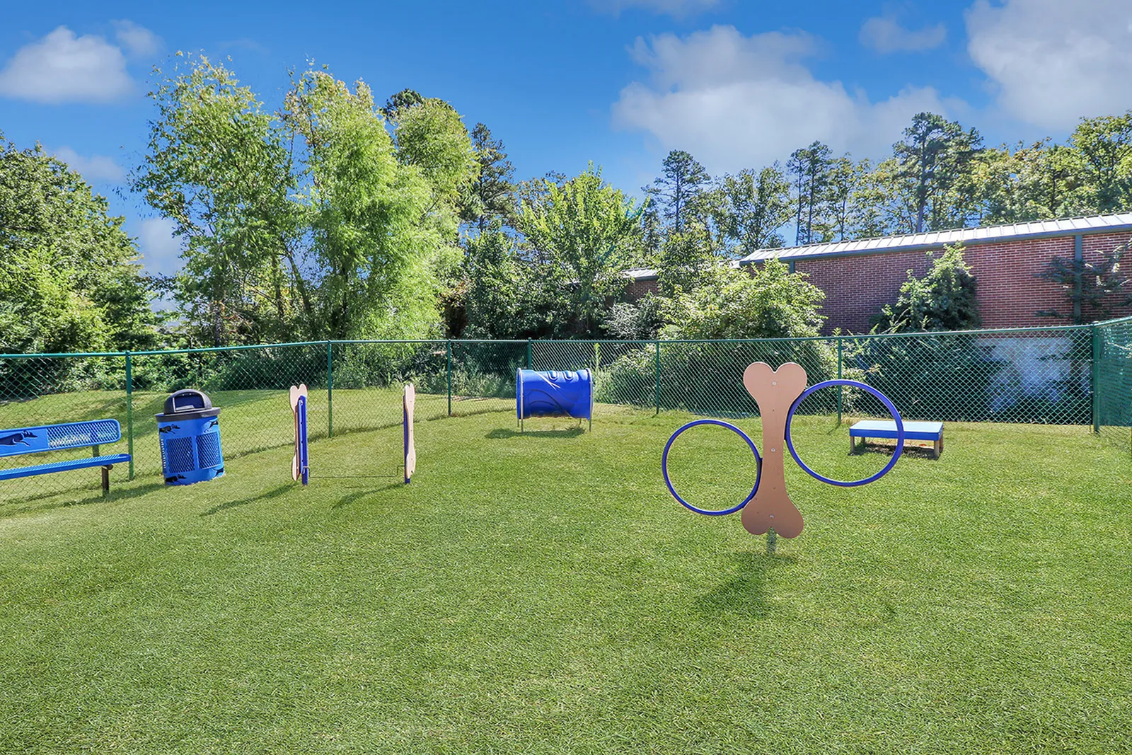 Vibrant pet-friendly outdoor play area with agility equipment surrounded by lush greenery and secure fencing.