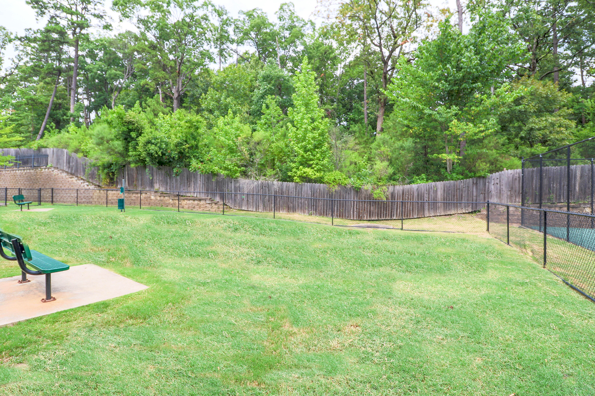 Lush green park area with vibrant trees, perfect for relaxation and outdoor activities.