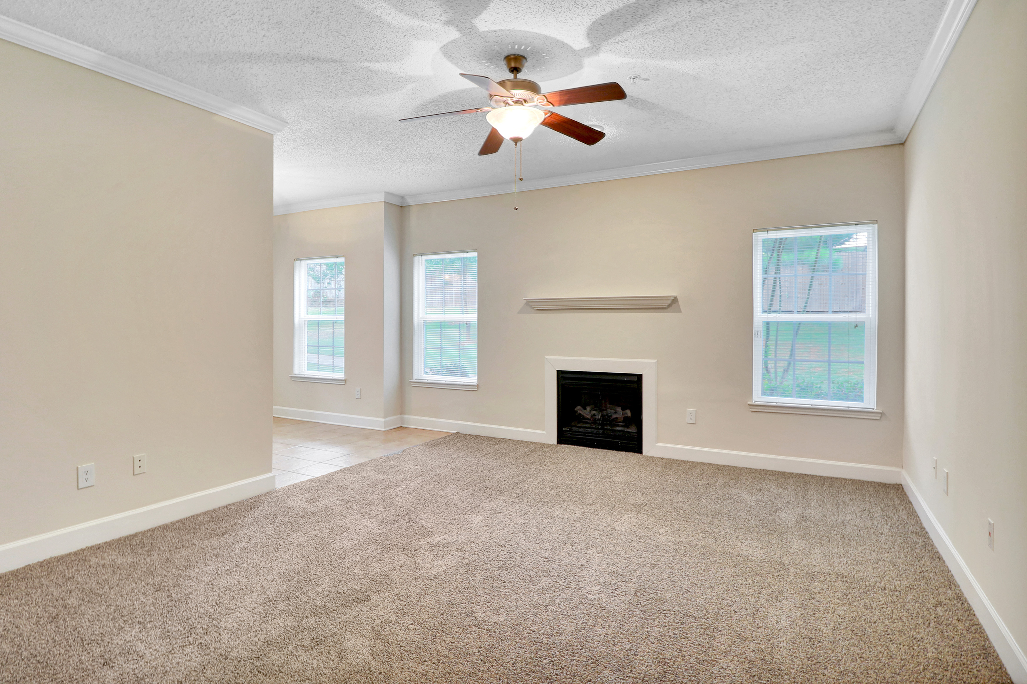 Bright, inviting living room with cozy carpet flooring, a charming fireplace, and large windows offering ample natural light.