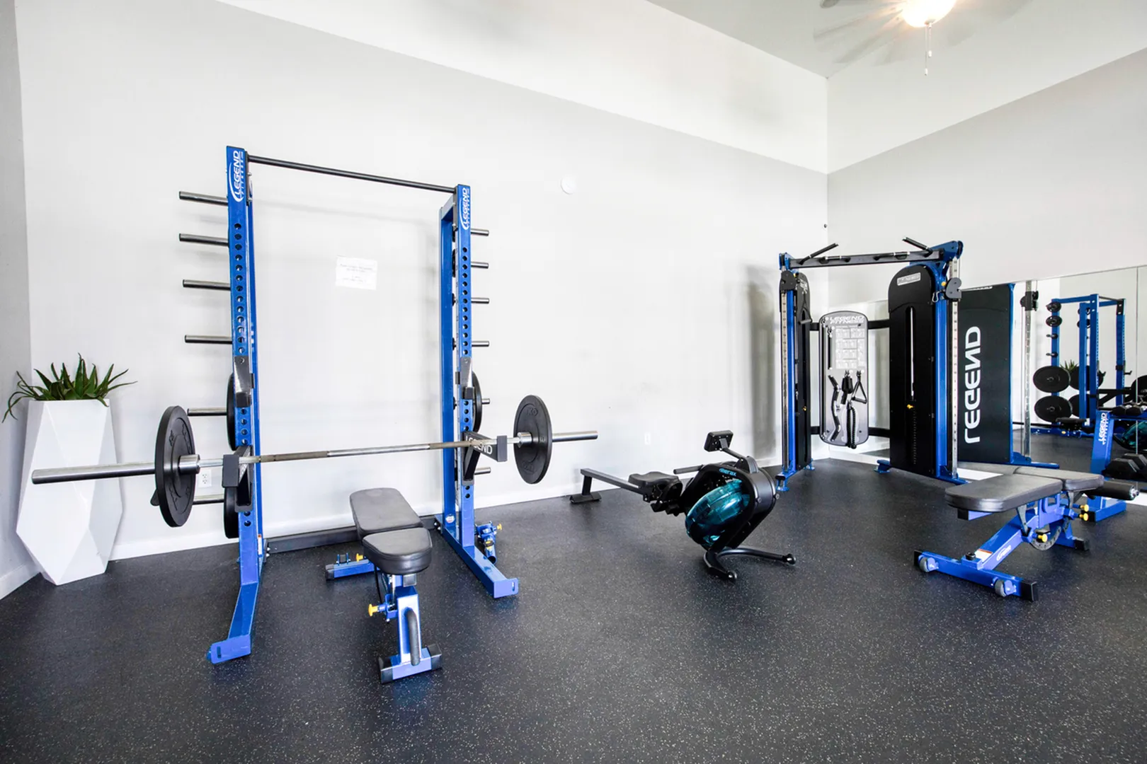 Modern apartment gym featuring state-of-the-art equipment including a squat rack, rowing machine, and weight bench.