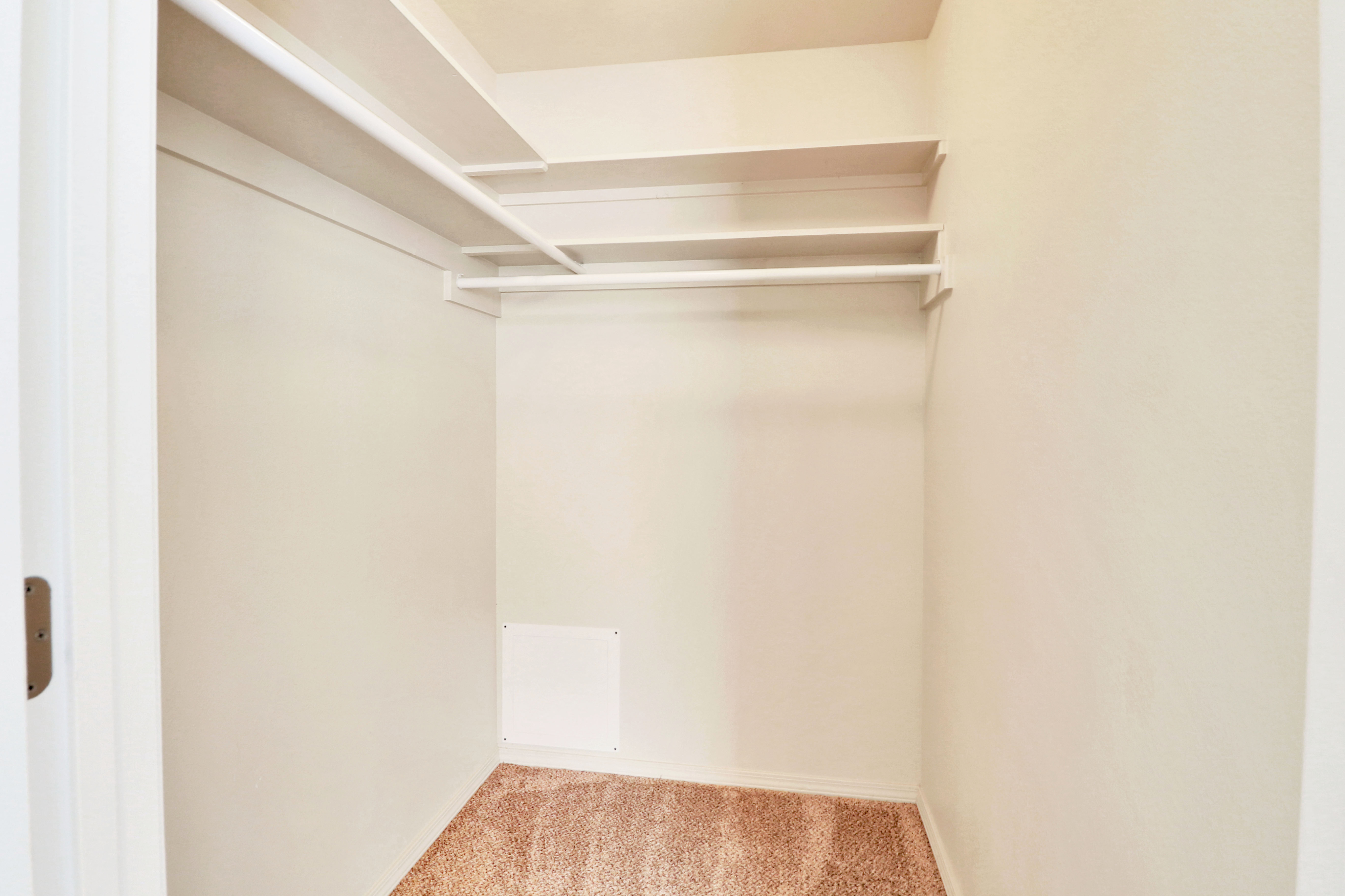 Spacious walk-in closet with ample shelving and neutral carpet, perfect for organized living.