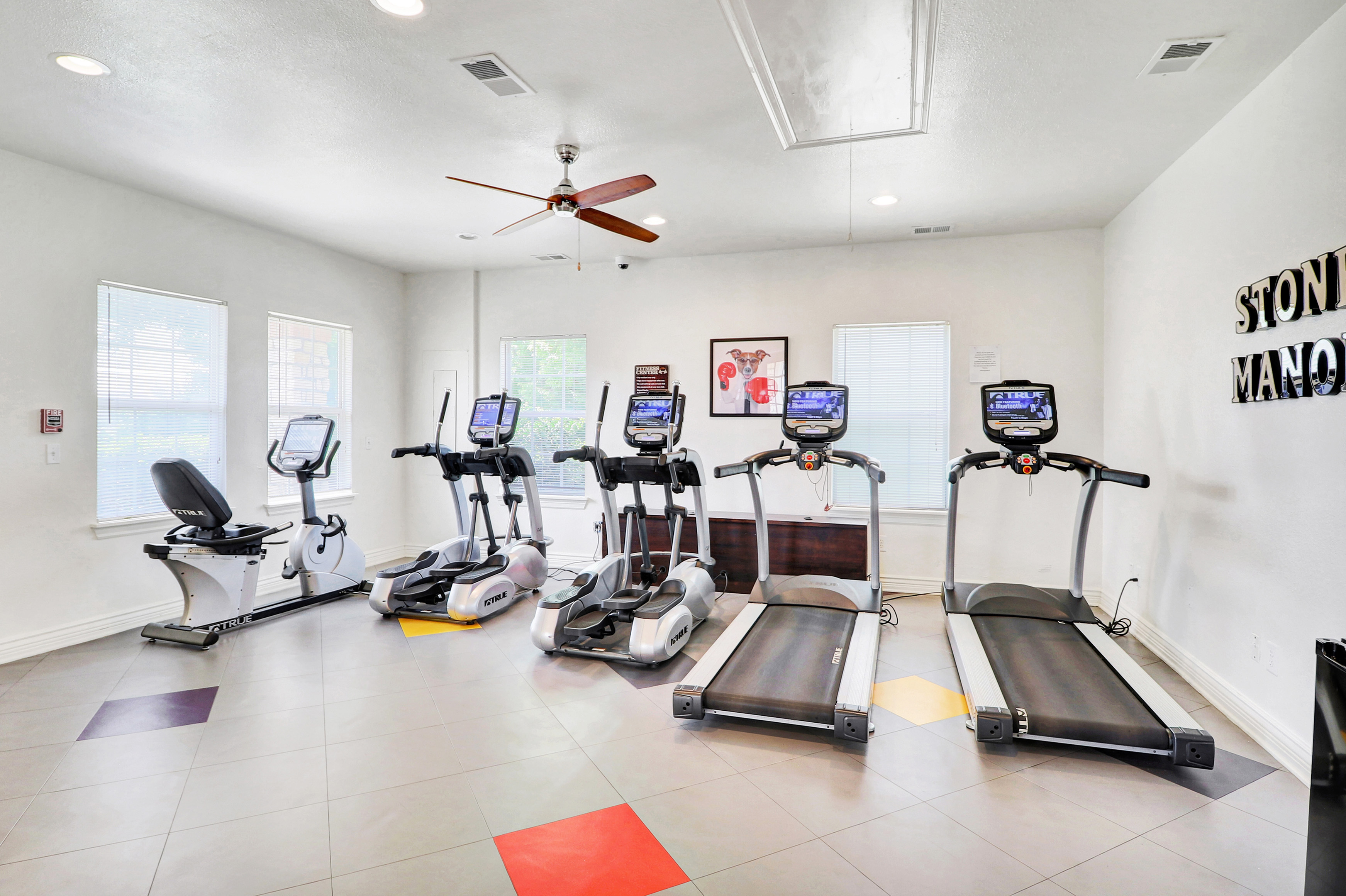 Bright and modern fitness center with state-of-the-art cardio machines including treadmills and ellipticals, complemented by natural light from multiple windows.