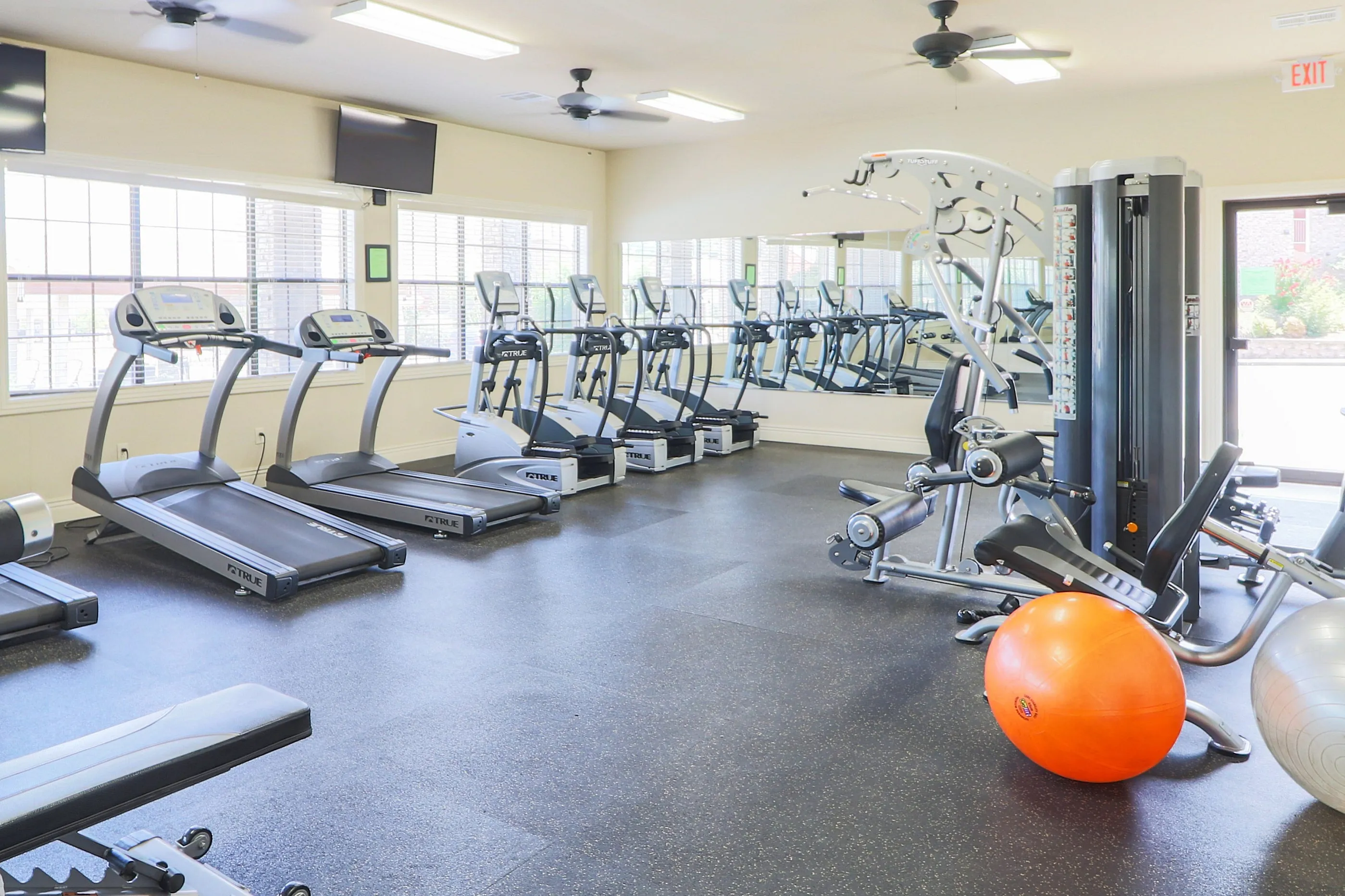 Bright, spacious gym equipped with modern treadmills, strength training machines, and exercise balls, offering an inviting fitness environment.