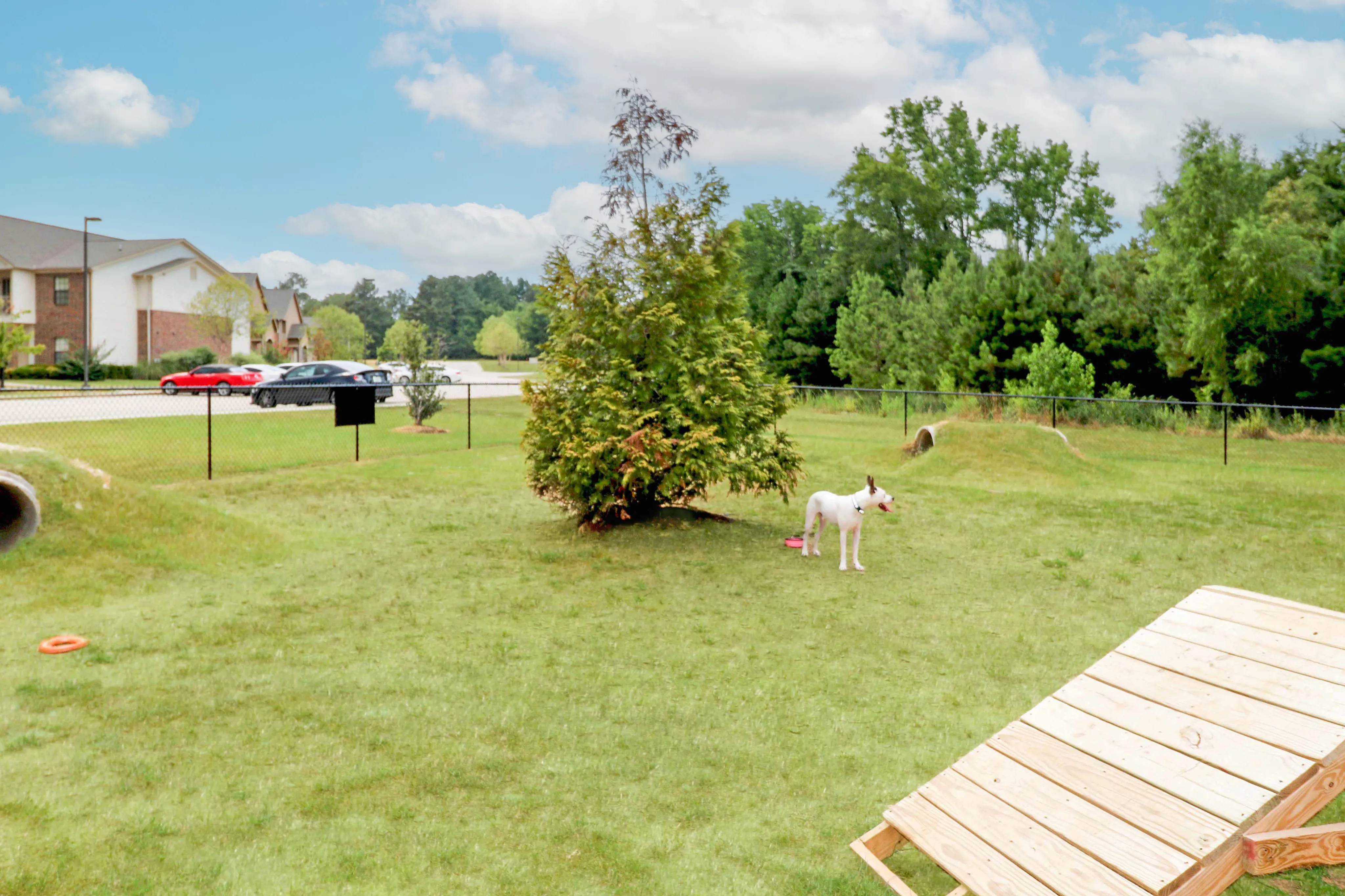 Expansive fenced backyard featuring lush greenery, a playful dog, and a welcoming atmosphere perfect for outdoor enjoyment.