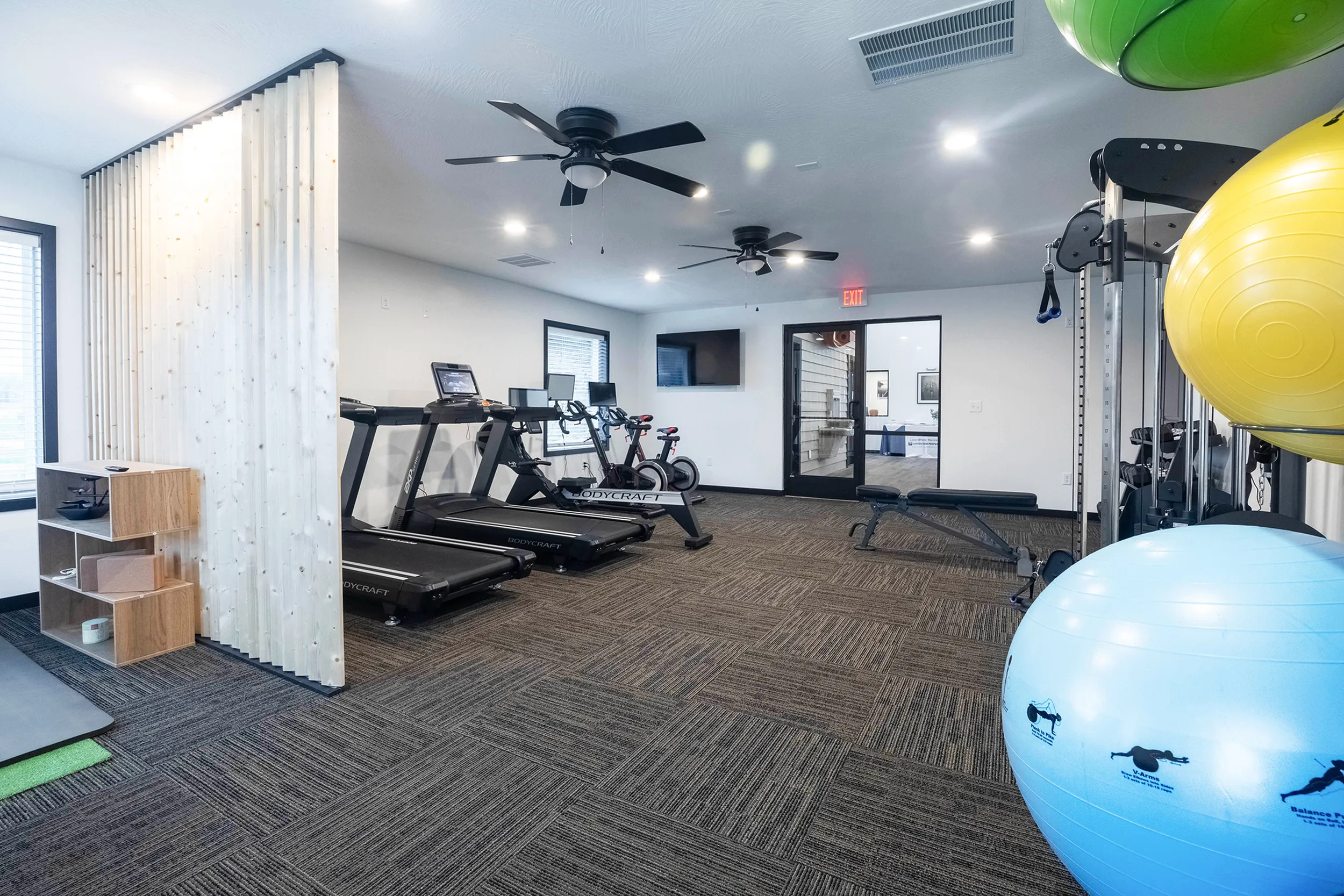 Modern fitness center with treadmills, exercise bikes, and vibrant workout balls, offering a bright and welcoming exercise environment.