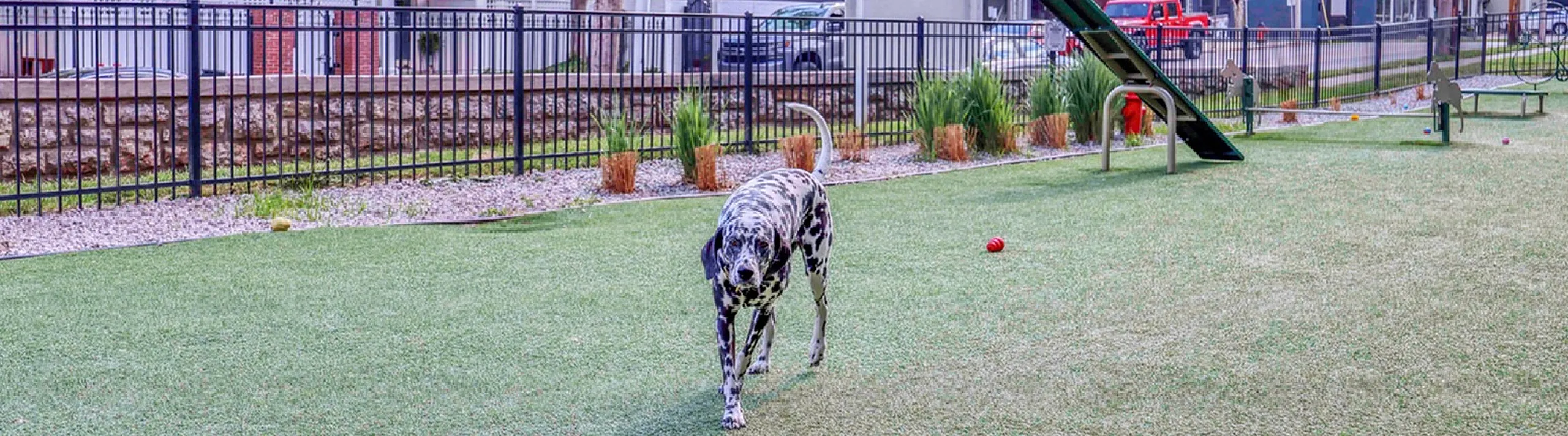 Delightful outdoor space featuring a playful Dalmatian in a pet-friendly setting with lush greenery and charming architecture in the background.