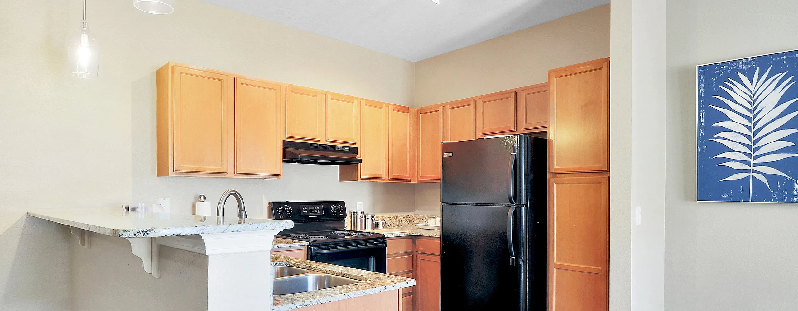 Modern kitchen with sleek black appliances, elegant wooden cabinetry, and stylish pendant lighting, perfect for culinary creativity.