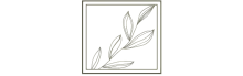 Elegant botanical line art illustration featuring a series of delicate leaves, perfect for modern decor.