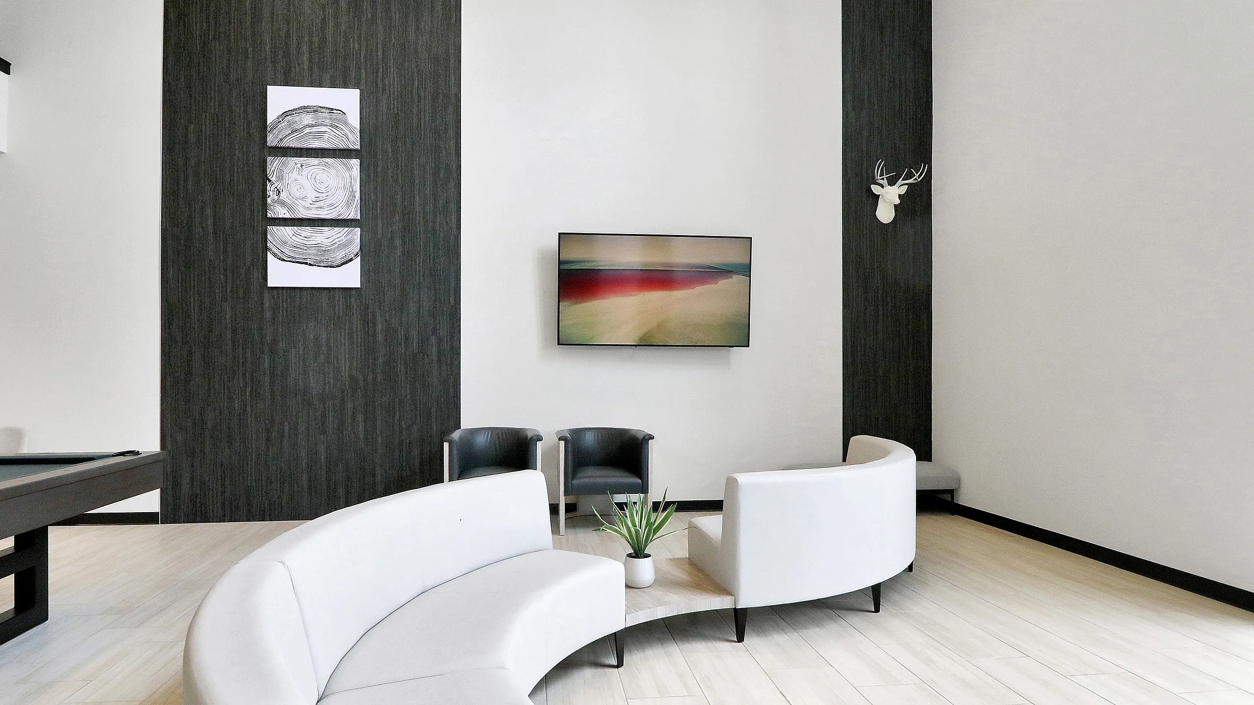 Elegant and modern living area featuring sleek white curved sofas, stylish dark accent wall, and contemporary decor accents.